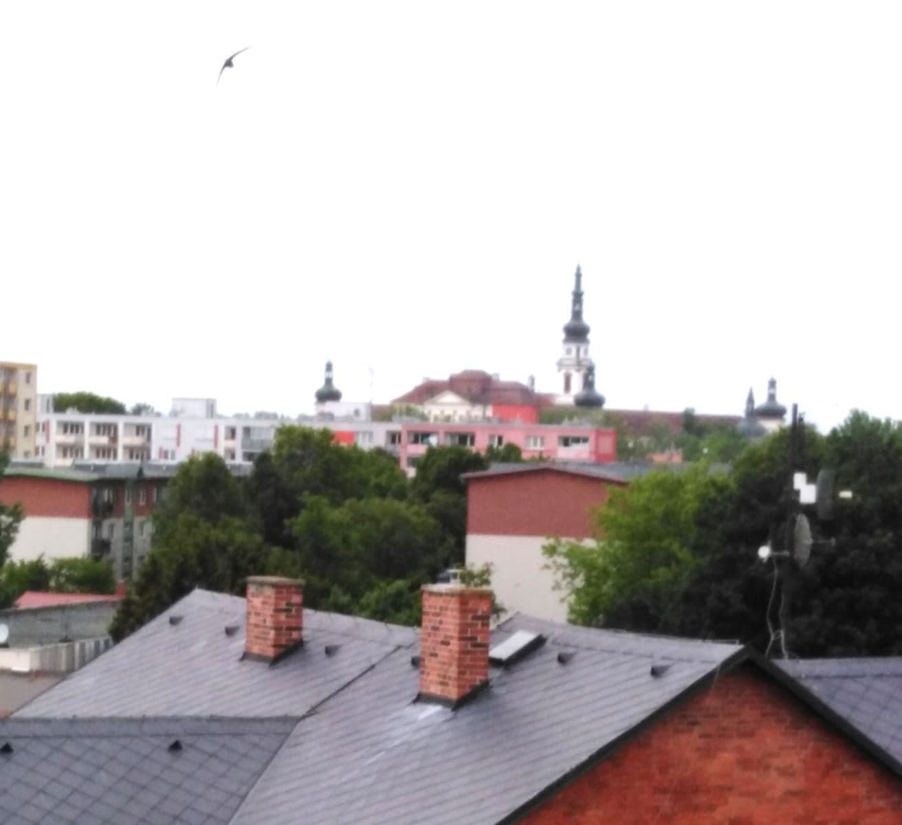 Pronájem bytu 3+1 68 m², Kaštanová, Olomouc, Olomoucký kraj Pronájem bytu 3+1 68 m², Kaštanová, Olomouc, Olomoucký kraj