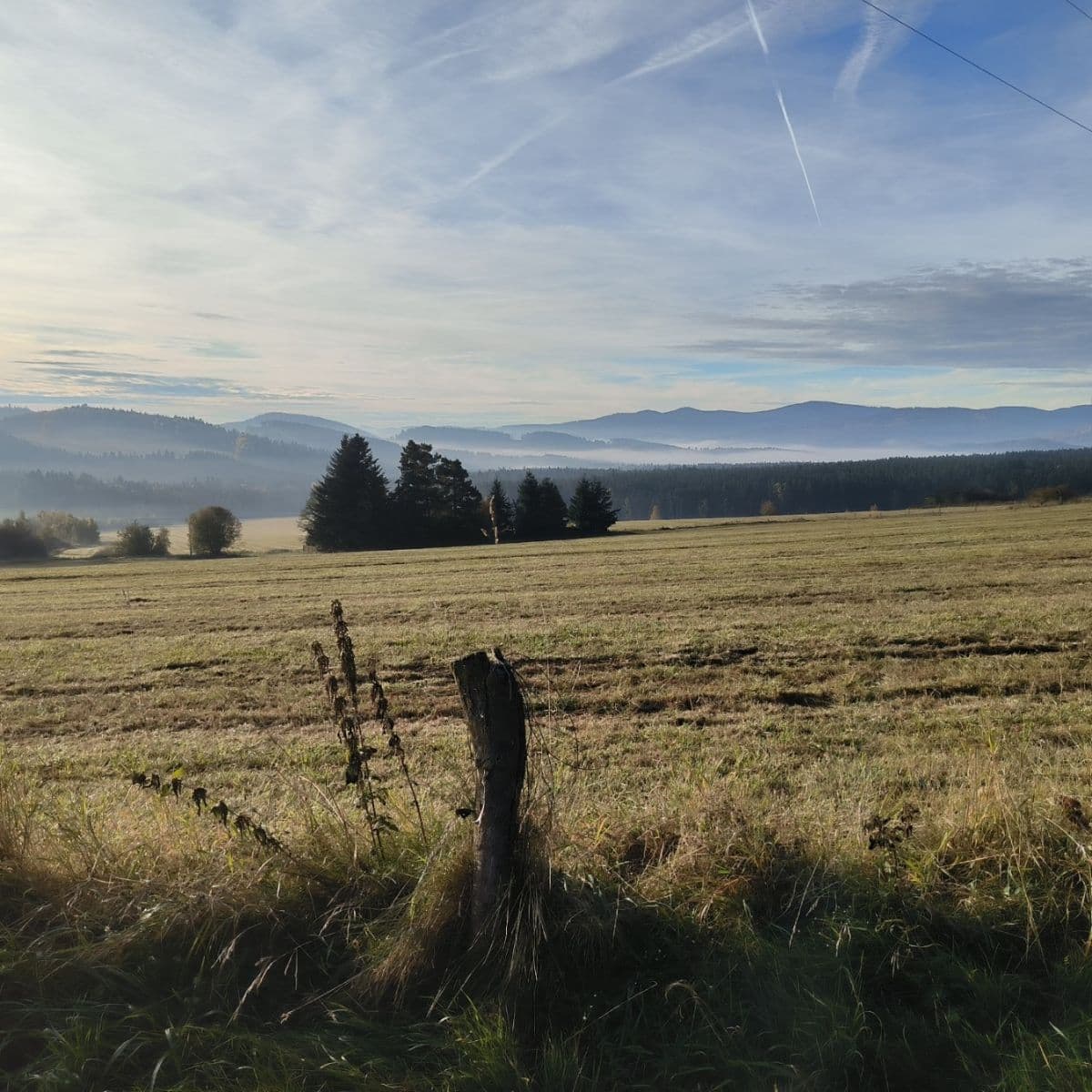 Prodej domu 520 m², pozemek 1.713 m², Malšín, Jihočeský kraj Prodej domu 520 m², pozemek 1.713 m², Malšín, Jihočeský kraj