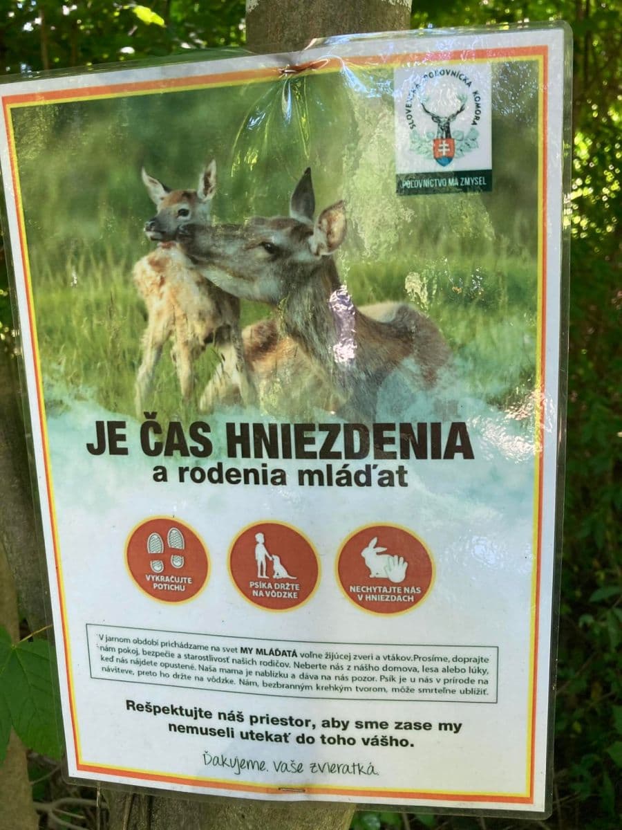 Prodej pozemku 13.139 m², Lubina, Trenčiansky kraj Prodej pozemku 13.139 m², Lubina, Trenčiansky kraj