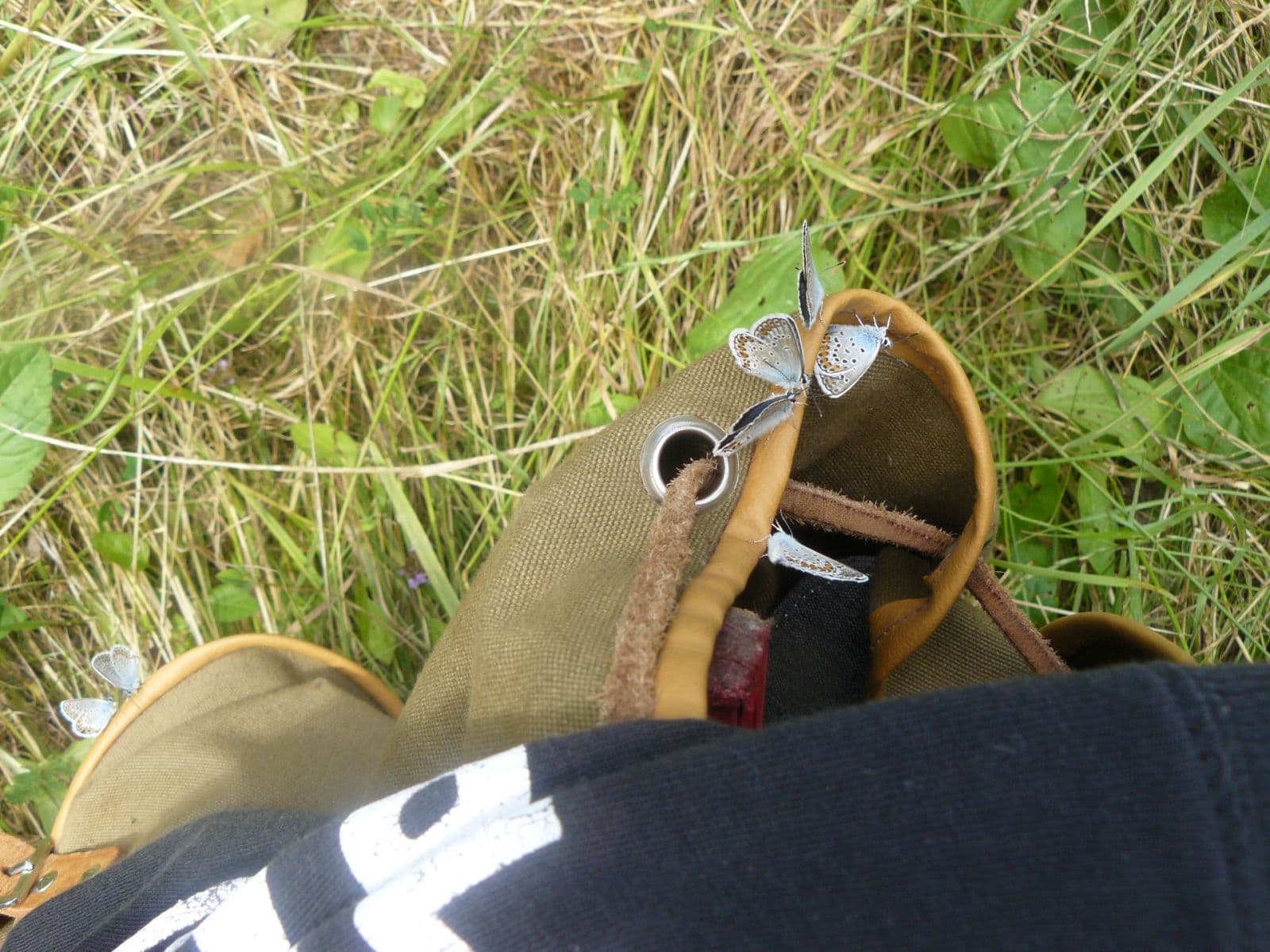 Prodej pozemku 13.139 m², Lubina, Trenčiansky kraj Prodej pozemku 13.139 m², Lubina, Trenčiansky kraj