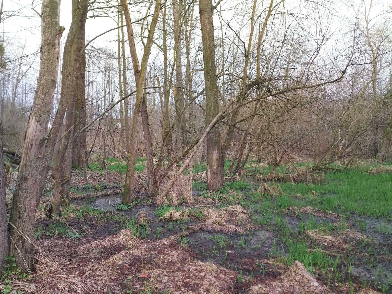 Prodej pozemku 2.638 m², Klimkovice, Moravskoslezský kraj Prodej pozemku 2.638 m², Klimkovice, Moravskoslezský kraj