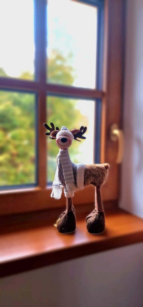 Pronájem chaty, chalupy, Lipová-lázně, Olomoucký kraj Pronájem chaty, chalupy, Lipová-lázně, Olomoucký kraj