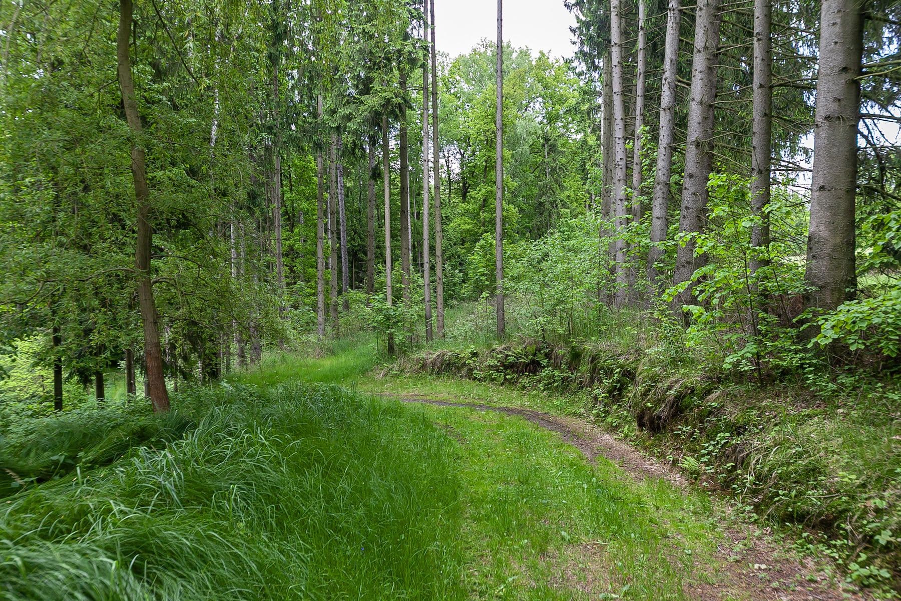 Prodej pozemku 14.573 m², Předlánce, Višňová, Liberecký kraj Prodej pozemku 14.573 m², Předlánce, Višňová, Liberecký kraj