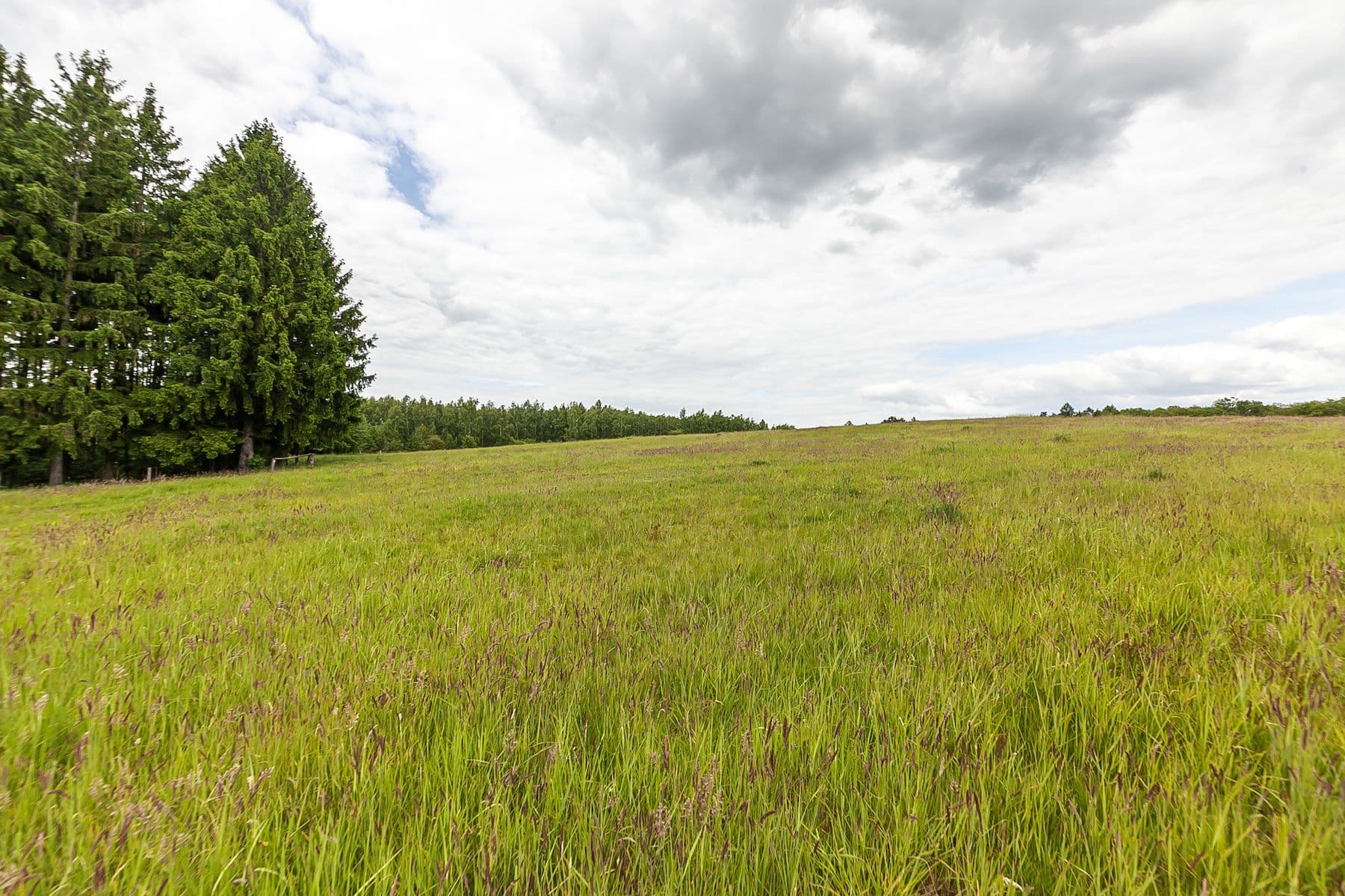 Prodej pozemku 14.573 m², Předlánce, Višňová, Liberecký kraj Prodej pozemku 14.573 m², Předlánce, Višňová, Liberecký kraj