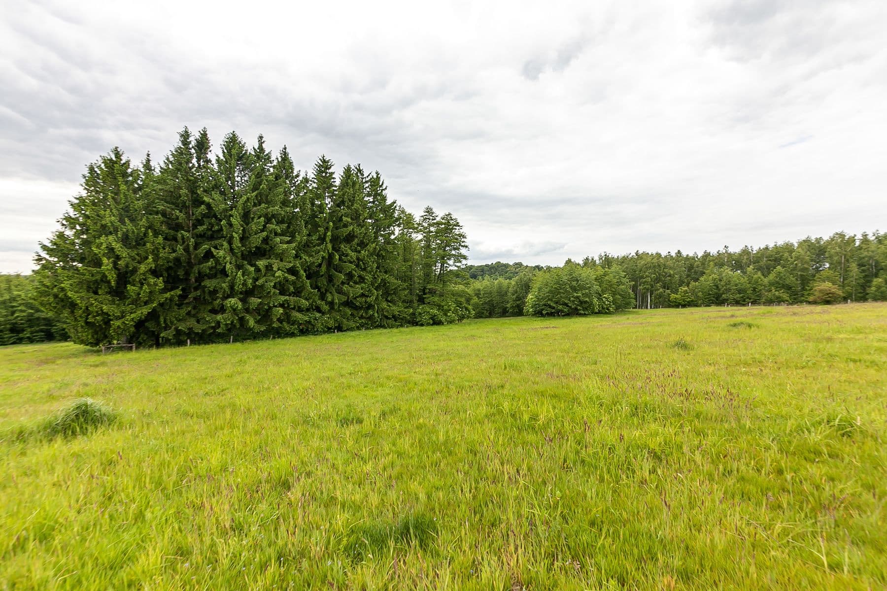 Prodej pozemku 14.573 m², Předlánce, Višňová, Liberecký kraj Prodej pozemku 14.573 m², Předlánce, Višňová, Liberecký kraj