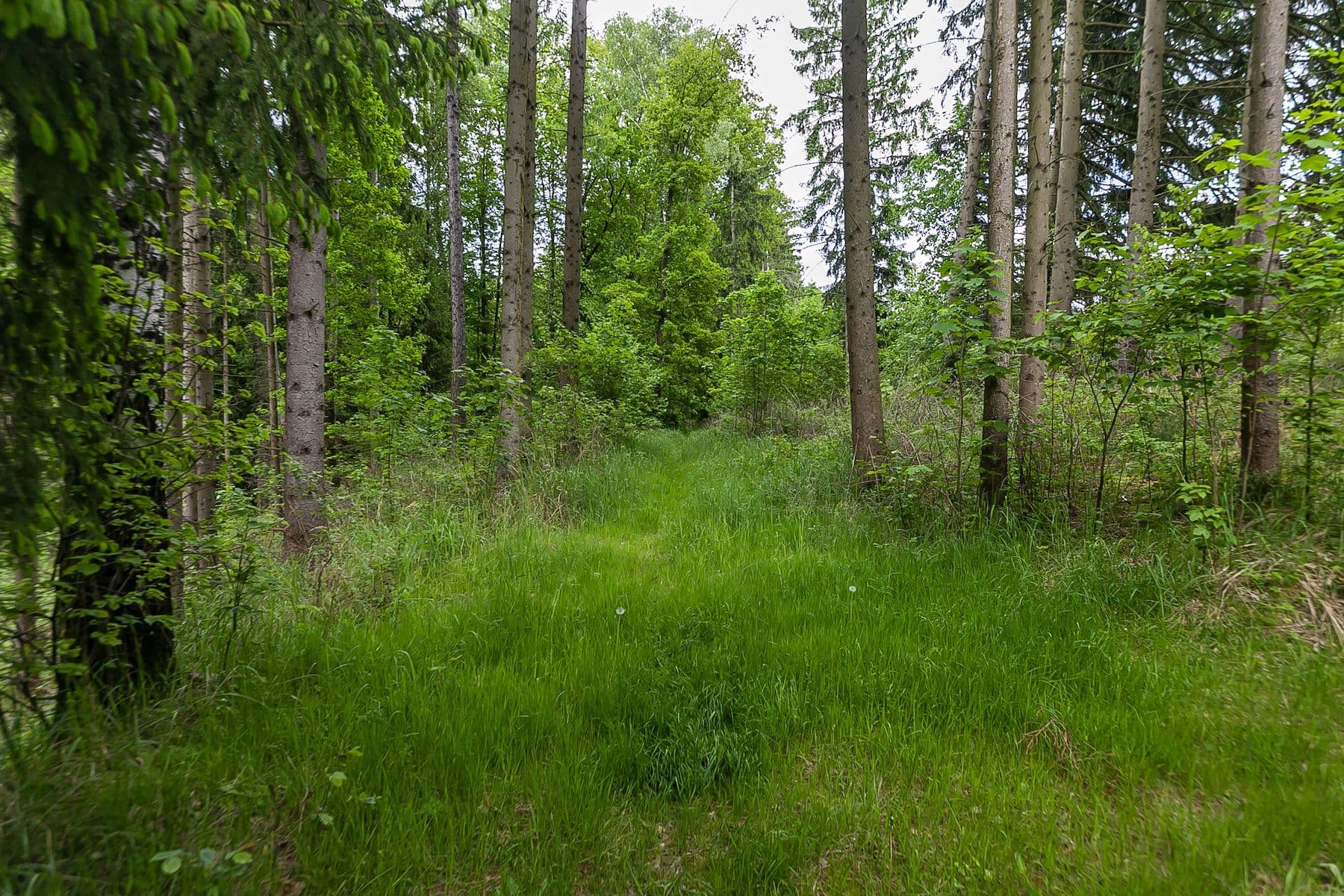 Prodej pozemku 33.624 m², Předlánce, Višňová, Liberecký kraj Prodej pozemku 33.624 m², Předlánce, Višňová, Liberecký kraj