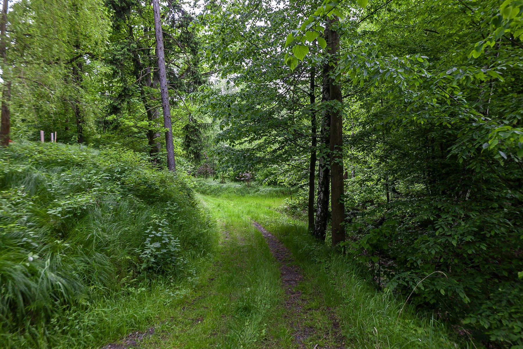 Prodej pozemku 33.624 m², Předlánce, Višňová, Liberecký kraj Prodej pozemku 33.624 m², Předlánce, Višňová, Liberecký kraj