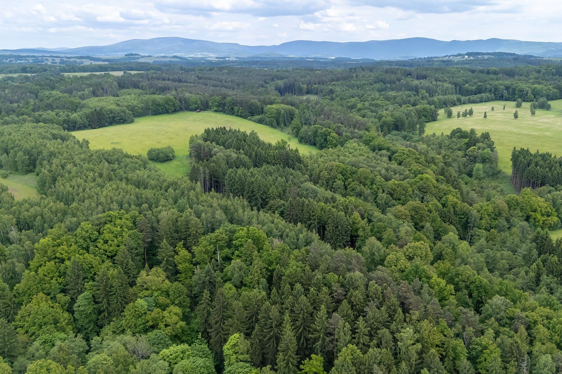Prodej pozemku 33.624 m², Předlánce, Višňová, Liberecký kraj Prodej pozemku 33.624 m², Předlánce, Višňová, Liberecký kraj