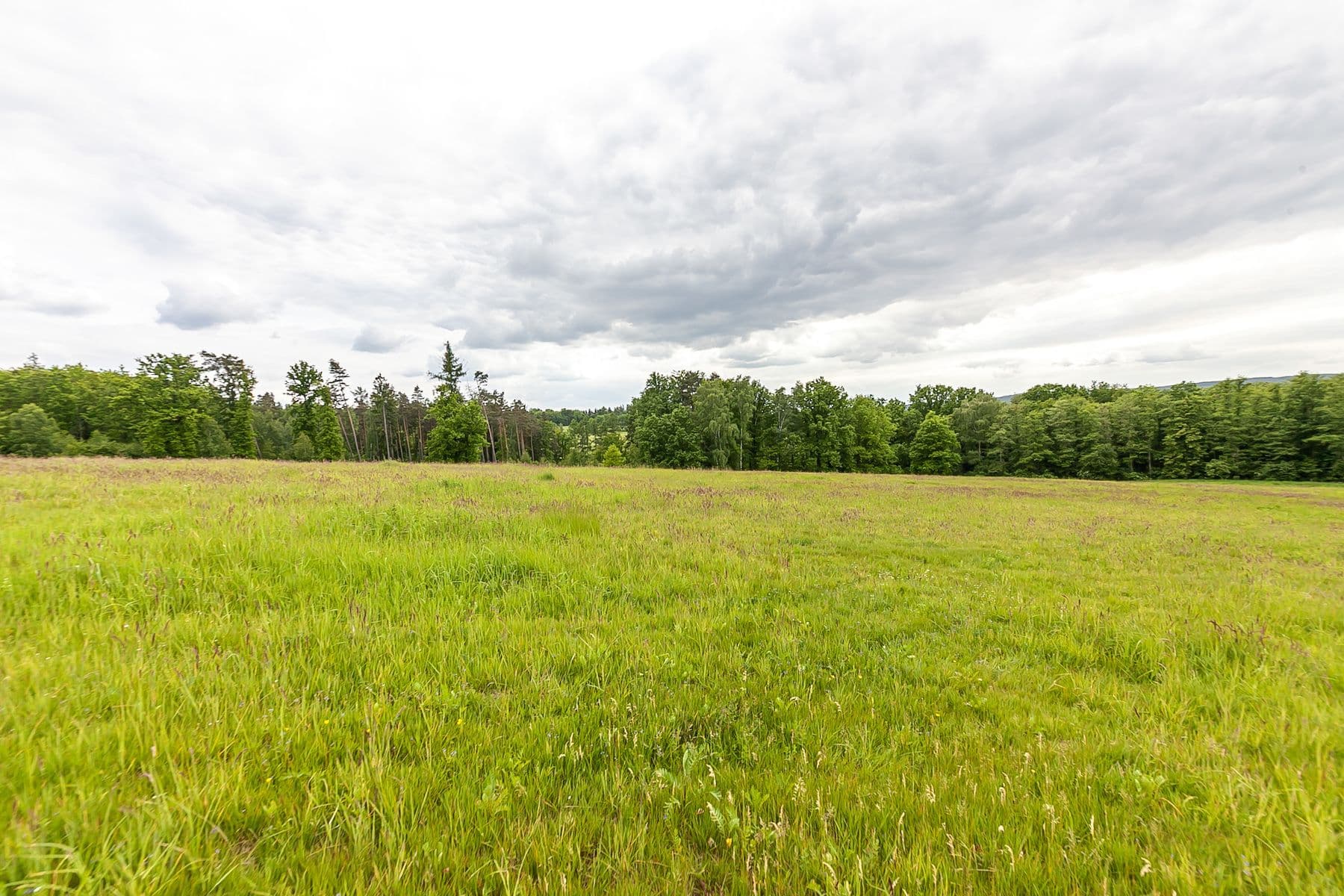 Prodej pozemku 33.624 m², Předlánce, Višňová, Liberecký kraj Prodej pozemku 33.624 m², Předlánce, Višňová, Liberecký kraj