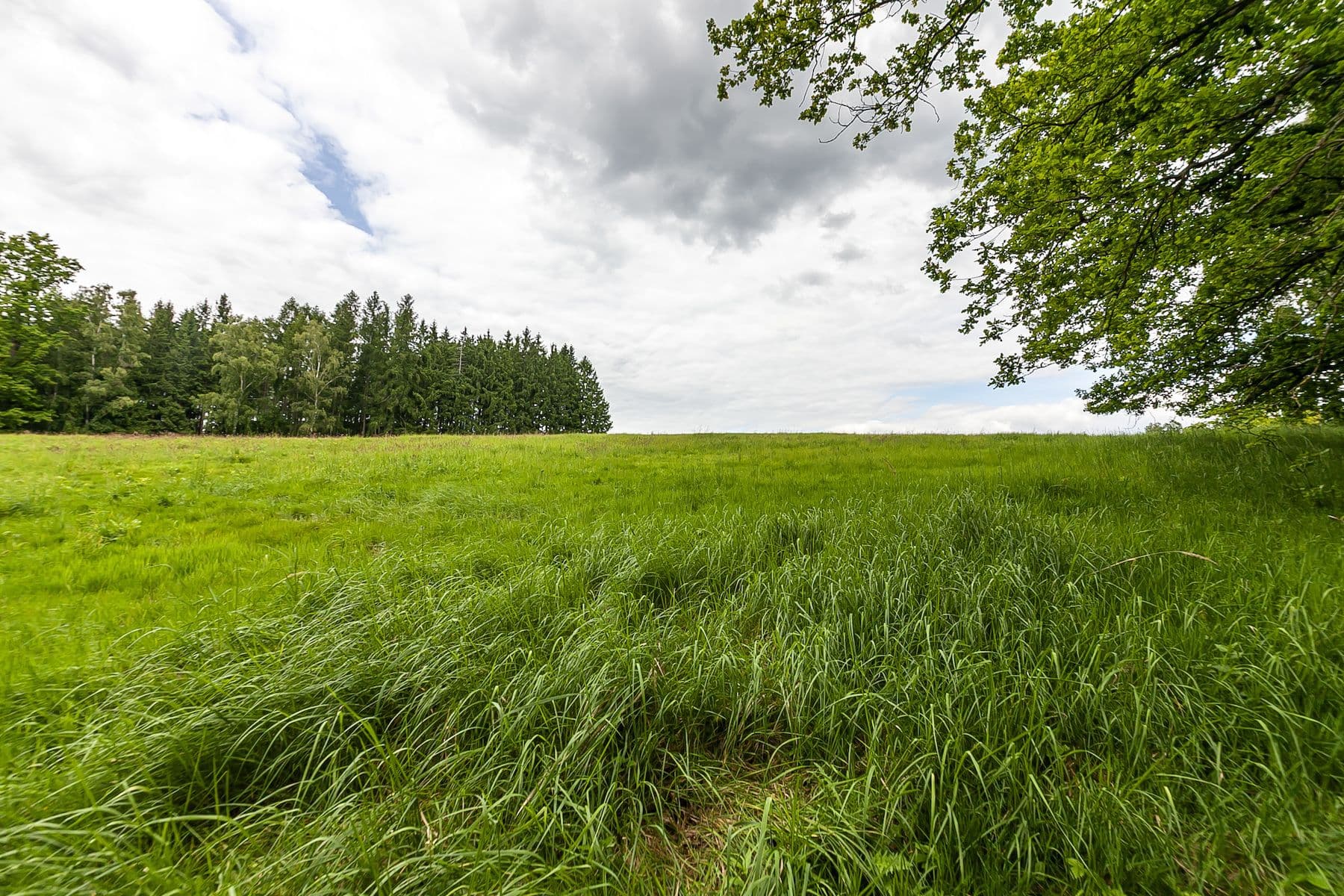 Prodej pozemku 53.442 m², Višňová, Liberecký kraj Prodej pozemku 53.442 m², Višňová, Liberecký kraj