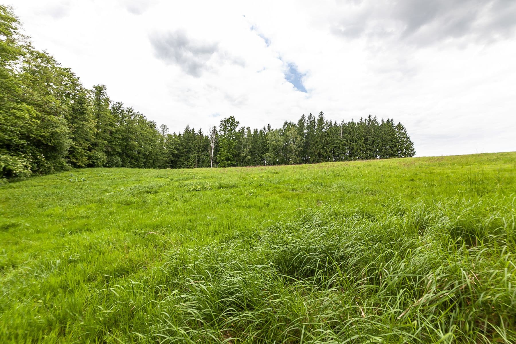 Prodej pozemku 53.442 m², Višňová, Liberecký kraj Prodej pozemku 53.442 m², Višňová, Liberecký kraj