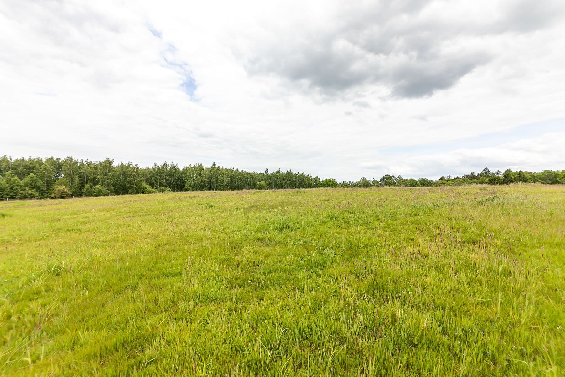 Prodej pozemku 53.442 m², Višňová, Liberecký kraj Prodej pozemku 53.442 m², Višňová, Liberecký kraj