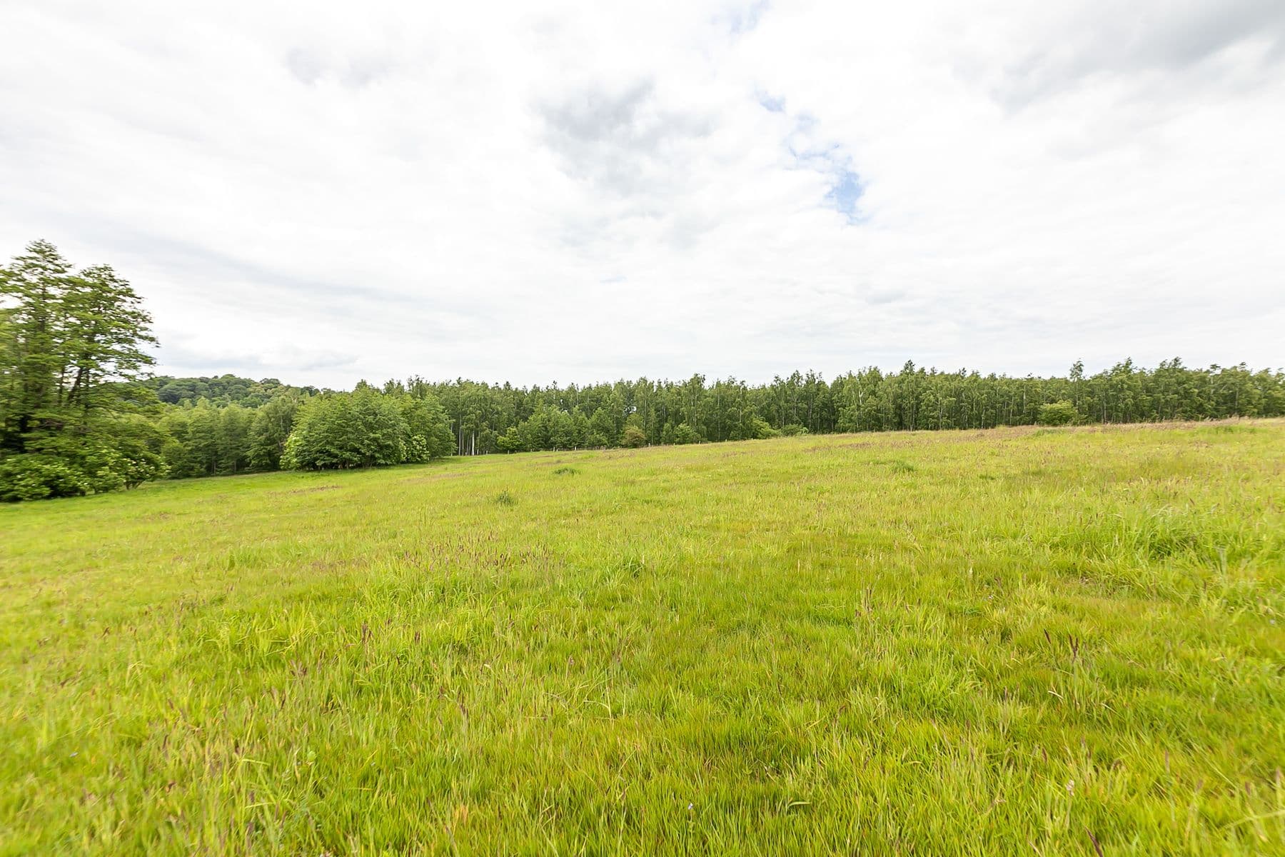 Prodej pozemku 53.442 m², Višňová, Liberecký kraj Prodej pozemku 53.442 m², Višňová, Liberecký kraj
