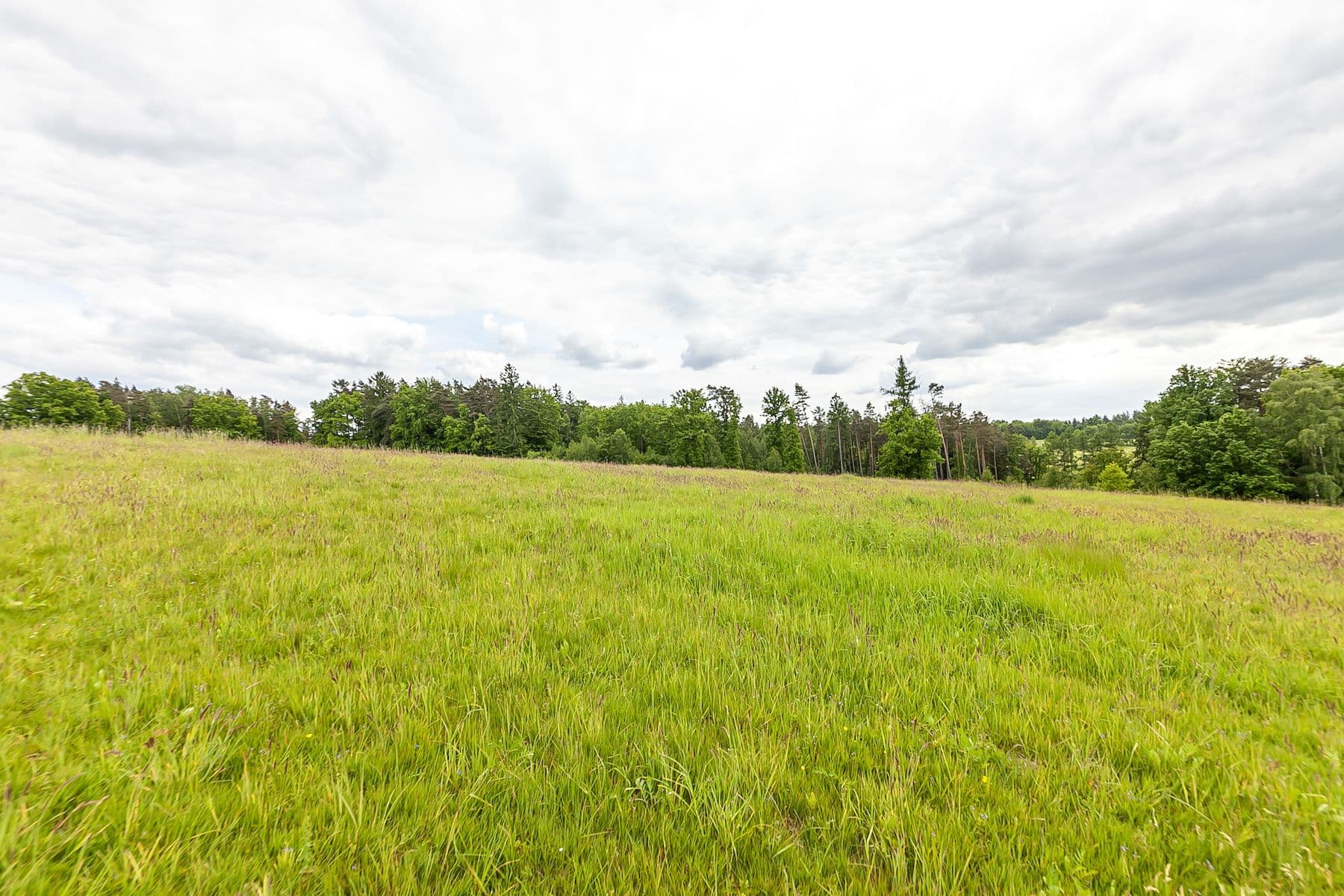 Prodej pozemku 53.442 m², Višňová, Liberecký kraj Prodej pozemku 53.442 m², Višňová, Liberecký kraj