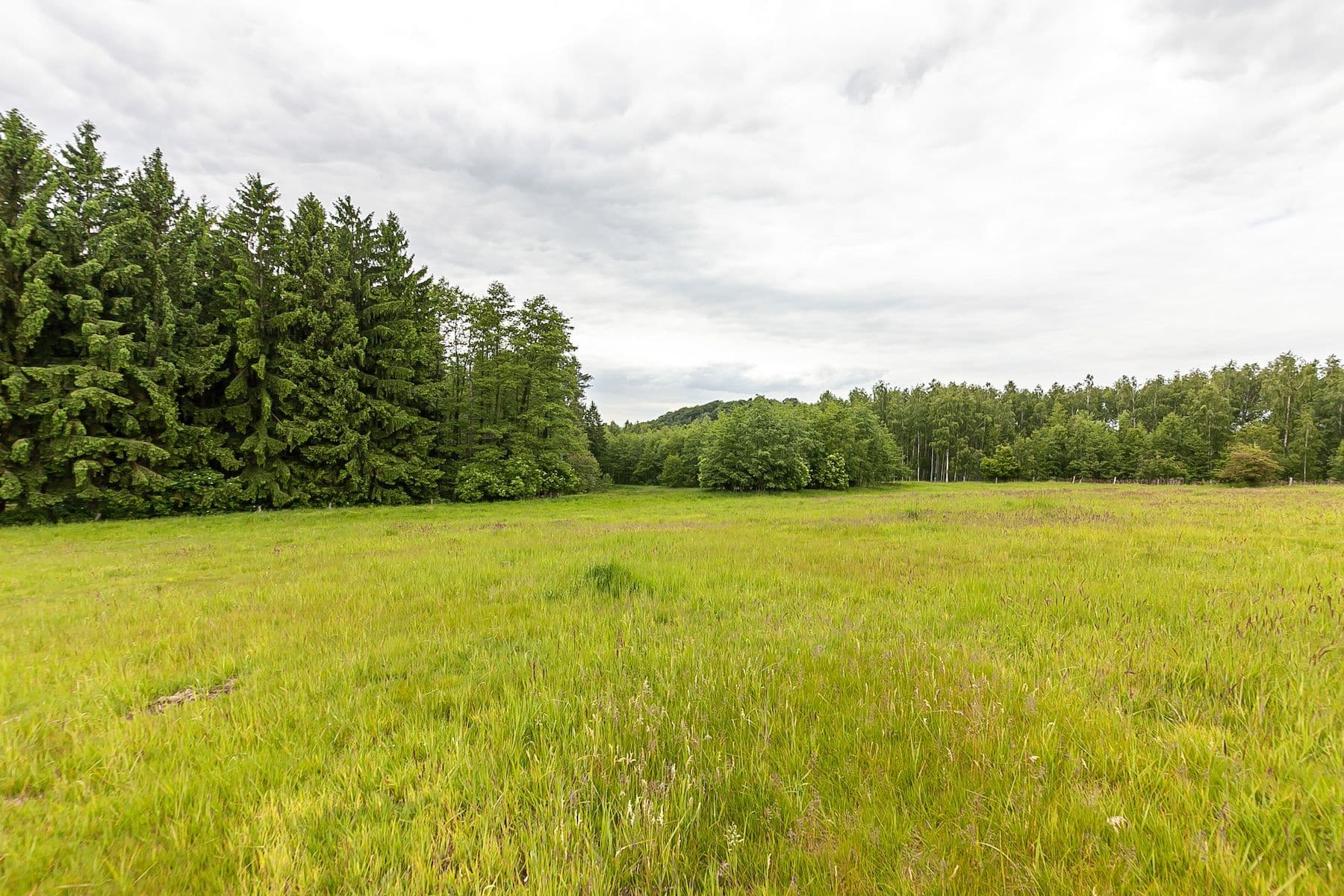 Prodej pozemku 53.442 m², Višňová, Liberecký kraj Prodej pozemku 53.442 m², Višňová, Liberecký kraj