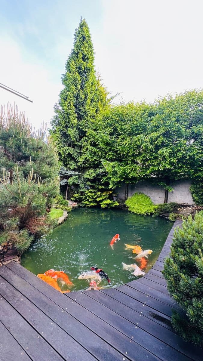 Prodej domu 220 m², pozemek 594 m², Křemenáčová, Praha, Praha Prodej domu 220 m², pozemek 594 m², Křemenáčová, Praha, Praha