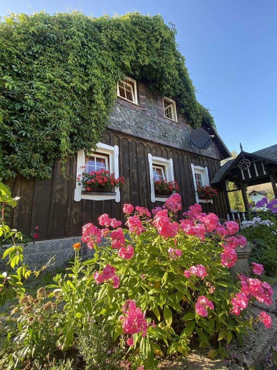 Pronájem chaty, chalupy, Bedřichov, Liberecký kraj Pronájem chaty, chalupy, Bedřichov, Liberecký kraj