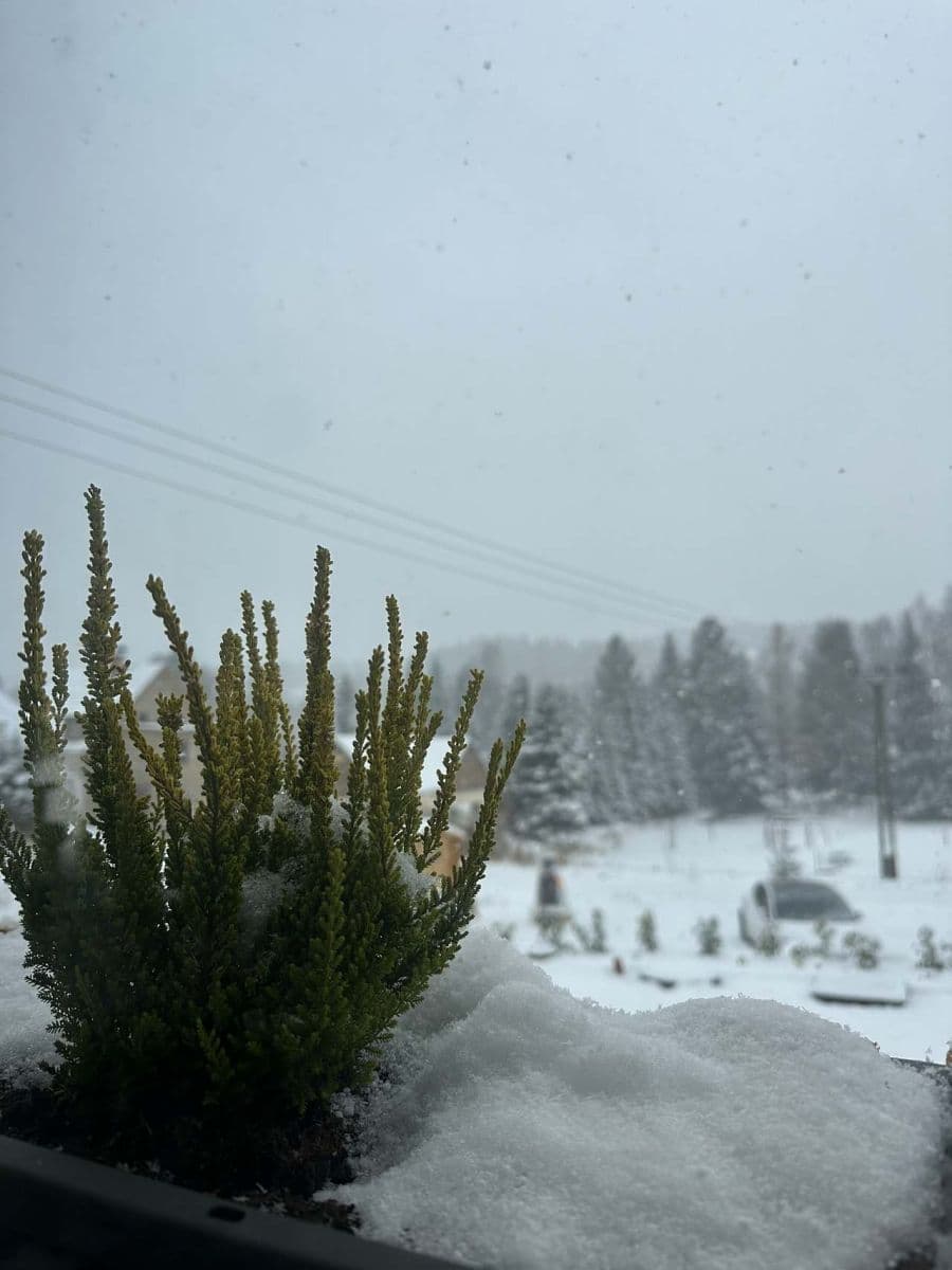 Pronájem chaty, chalupy, Tanvald, Liberecký kraj Pronájem chaty, chalupy, Tanvald, Liberecký kraj