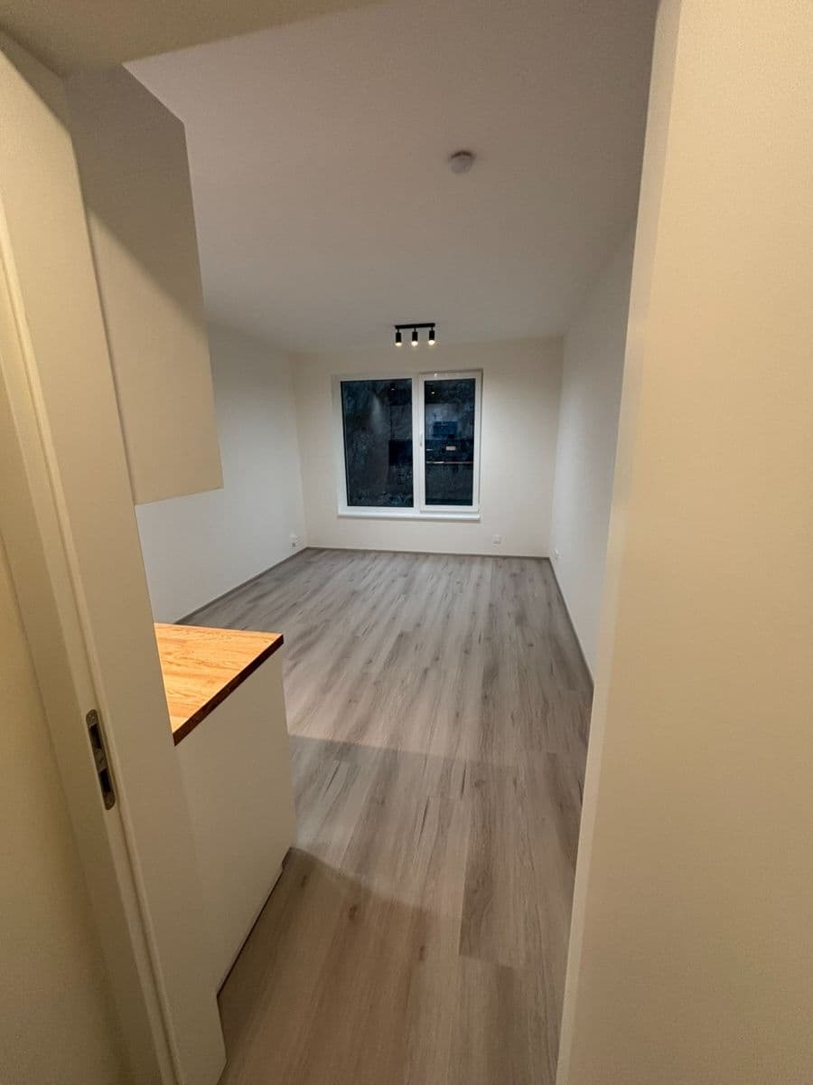 Pronájem bytu 1+kk 28 m², Bystrcká, Brno, Jihomoravský kraj Pronájem bytu 1+kk 28 m², Bystrcká, Brno, Jihomoravský kraj