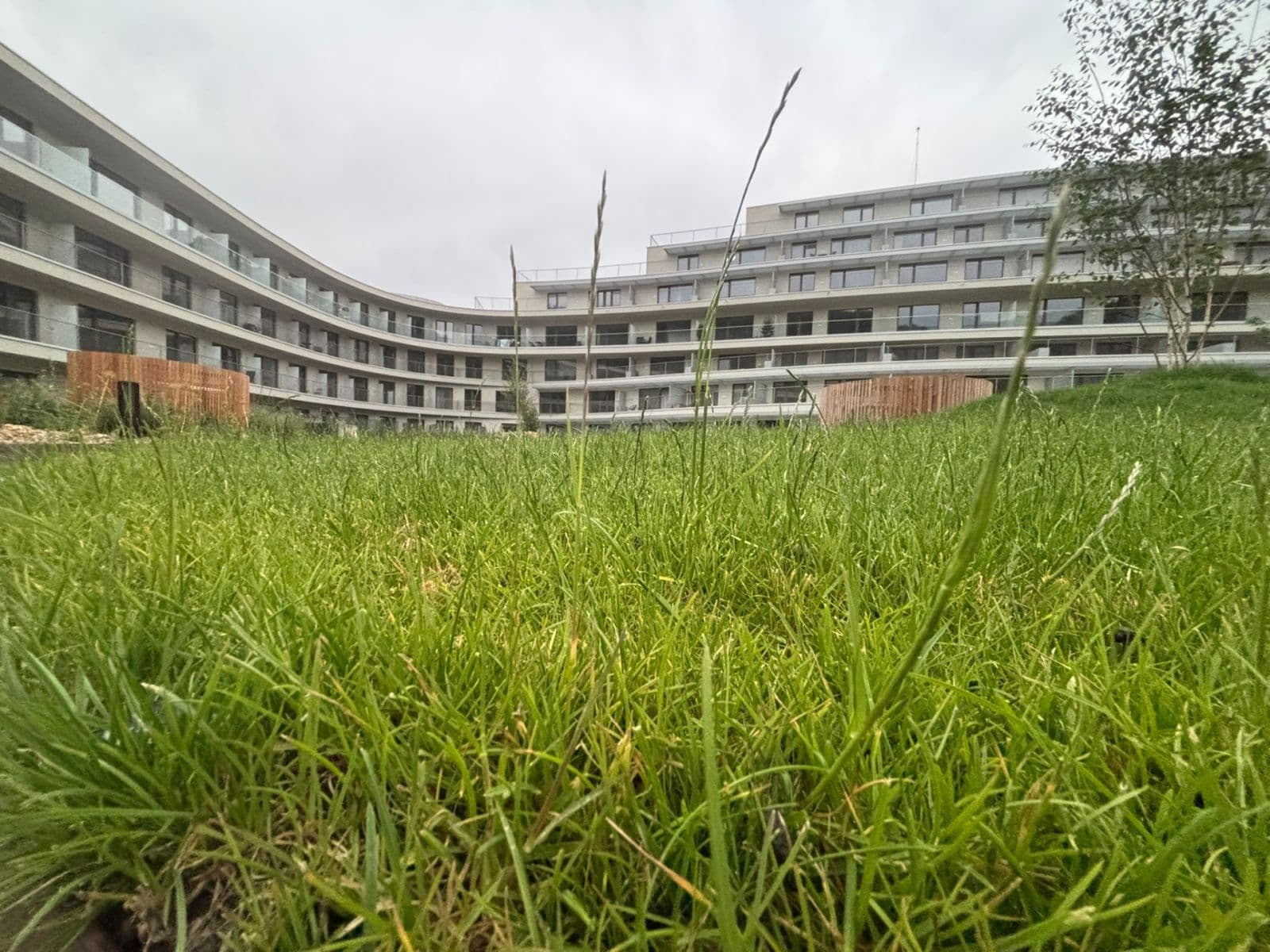 Pronájem bytu 1+kk 28 m², Bystrcká, Brno, Jihomoravský kraj Pronájem bytu 1+kk 28 m², Bystrcká, Brno, Jihomoravský kraj