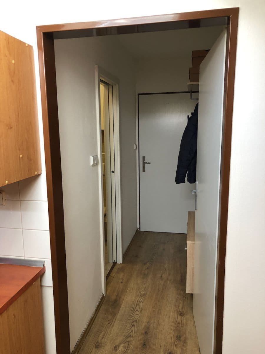 Pronájem bytu Garsoniéra 18 m², Kotlářská, Brno, Jihomoravský kraj Pronájem bytu Garsoniéra 18 m², Kotlářská, Brno, Jihomoravský kraj