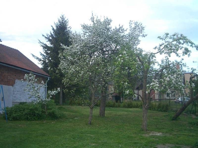 Pronájem chaty, chalupy, Větrný Jeníkov, Kraj Vysočina Pronájem chaty, chalupy, Větrný Jeníkov, Kraj Vysočina