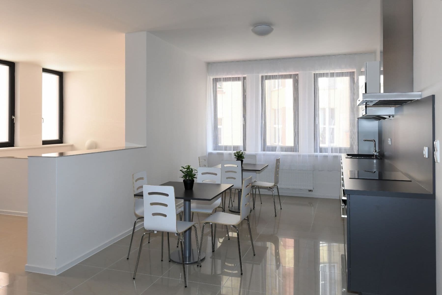 Pronájem bytu 20 m², Úvoz, Brno, Jihomoravský kraj Pronájem bytu 20 m², Úvoz, Brno, Jihomoravský kraj