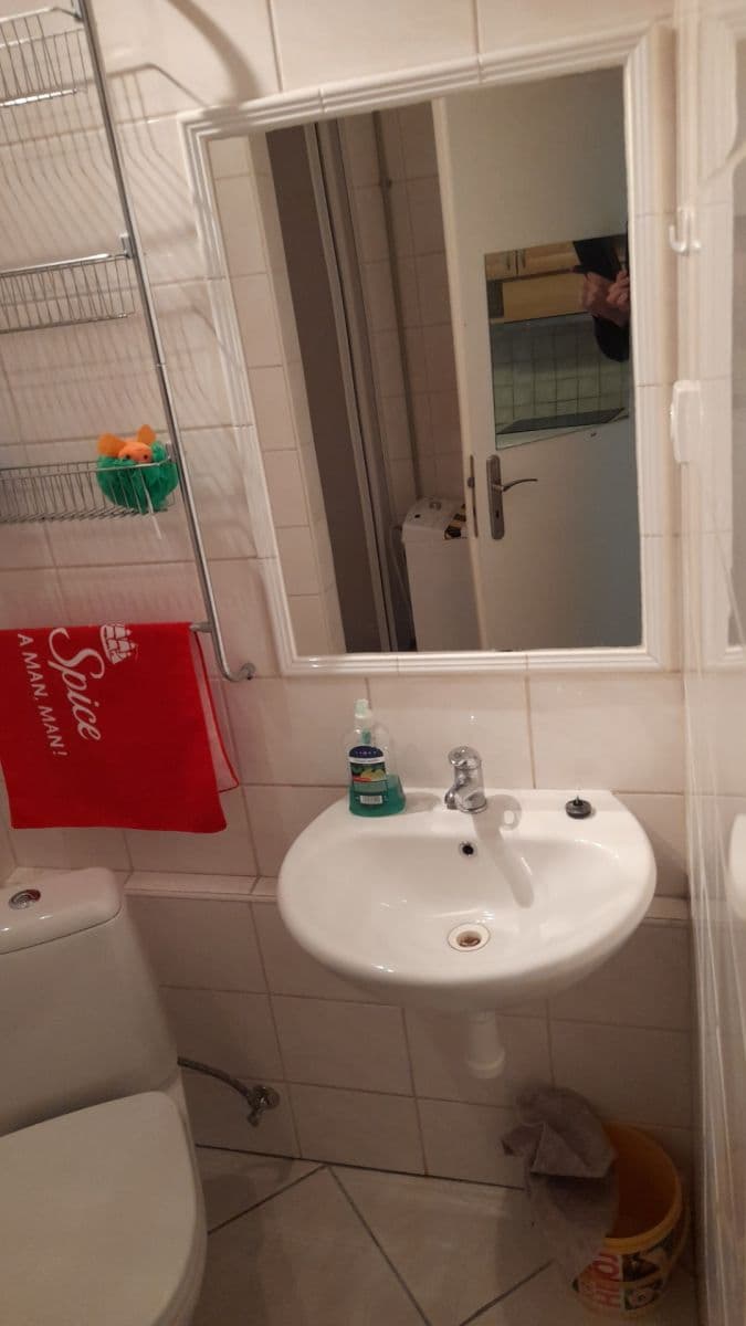 Pronájem bytu 1+kk 20 m², Jedovnická, Brno, Jihomoravský kraj Pronájem bytu 1+kk 20 m², Jedovnická, Brno, Jihomoravský kraj