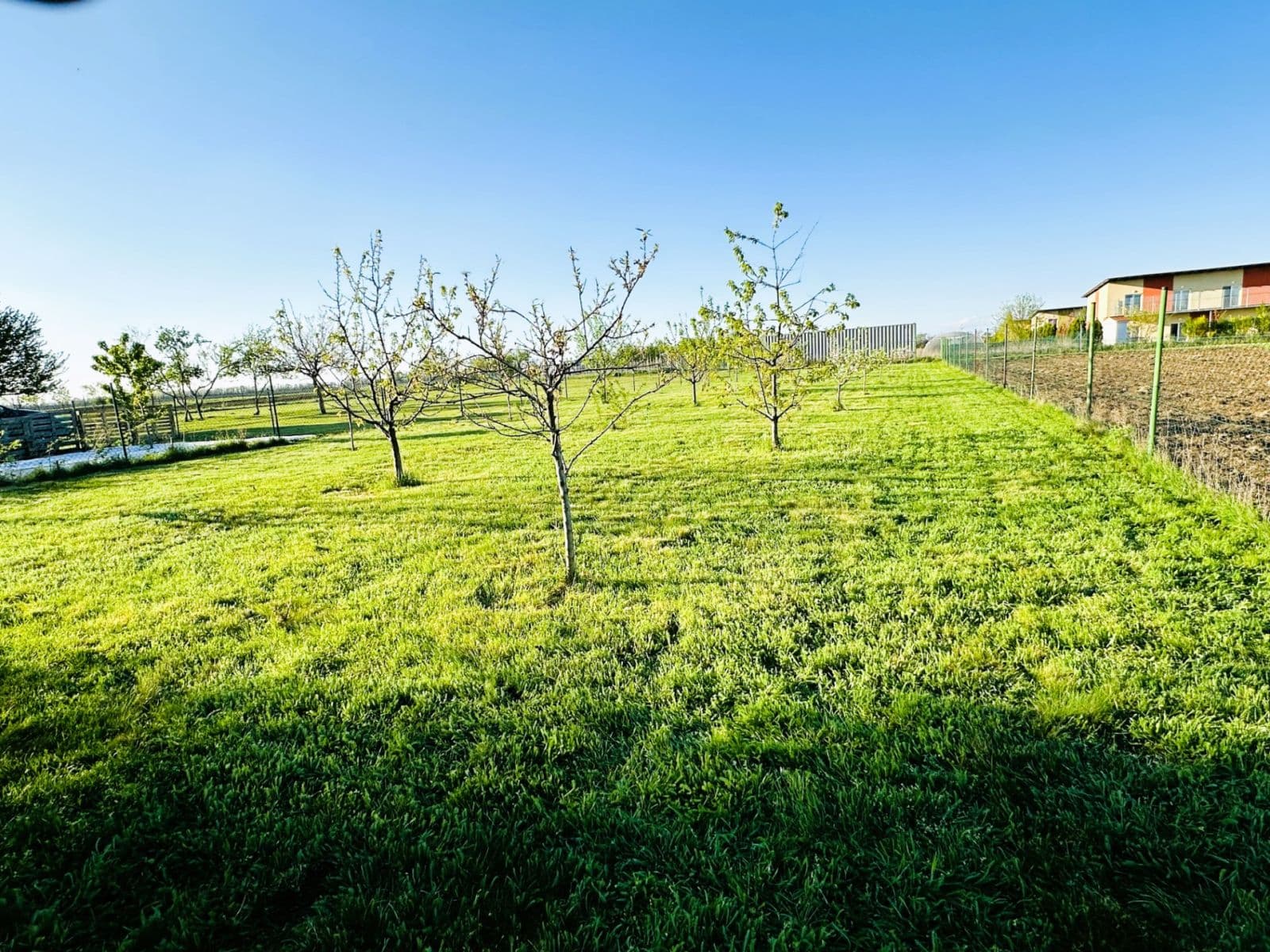 Prodej domu 234 m², pozemek 2.009 m², Božická, Šanov, Jihomoravský kraj Prodej domu 234 m², pozemek 2.009 m², Božická, Šanov, Jihomoravský kraj