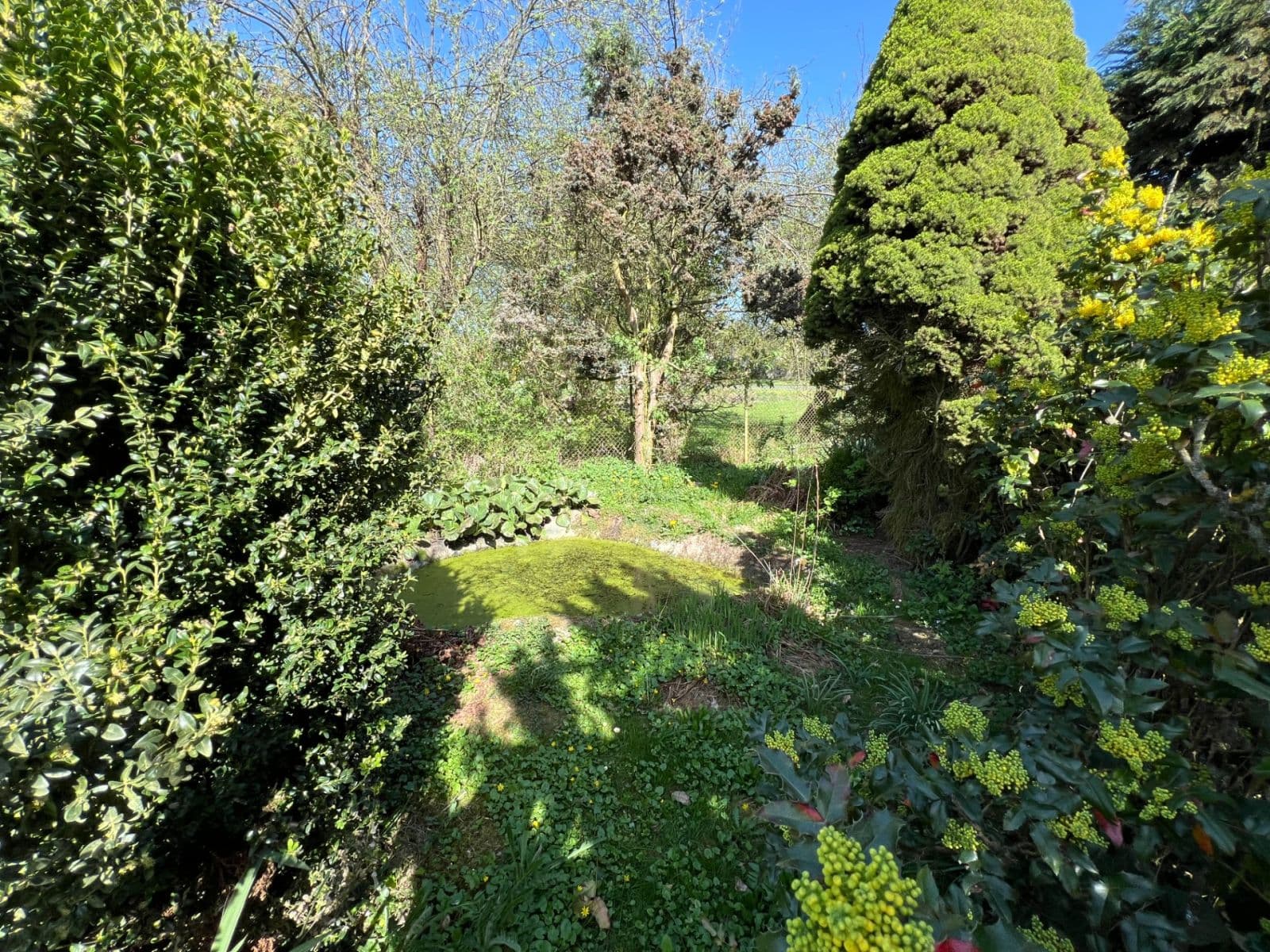 Prodej domu 140 m², pozemek 915 m², Katusice, Středočeský kraj Prodej domu 140 m², pozemek 915 m², Katusice, Středočeský kraj