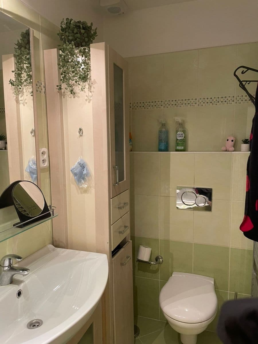 Pronájem bytu 1+1 30 m², Na Zlíchově, Praha, Praha Pronájem bytu 1+1 30 m², Na Zlíchově, Praha, Praha