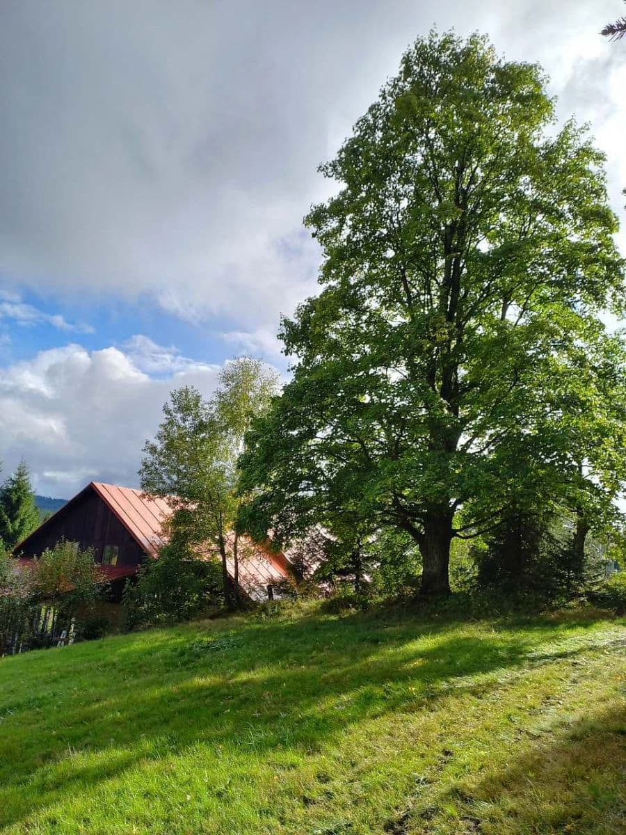 Pronájem chaty, chalupy, Železná Ruda, Plzeňský kraj Pronájem chaty, chalupy, Železná Ruda, Plzeňský kraj