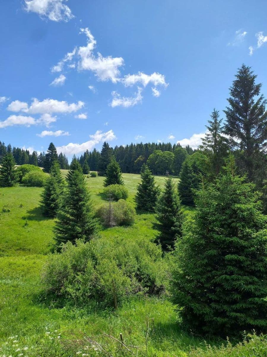 Pronájem chaty, chalupy, Železná Ruda, Plzeňský kraj Pronájem chaty, chalupy, Železná Ruda, Plzeňský kraj