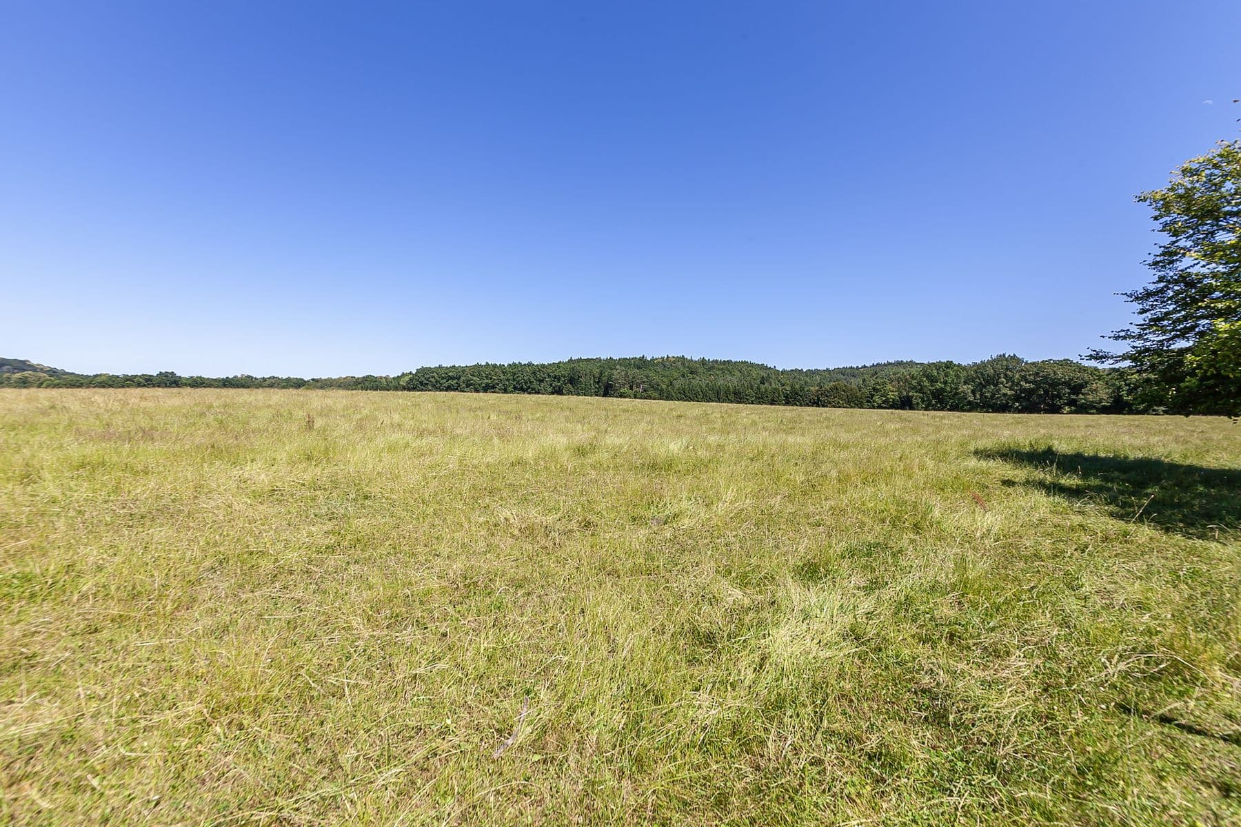 Prodej pozemku 10.156 m², Višňová, Liberecký kraj Prodej pozemku 10.156 m², Višňová, Liberecký kraj