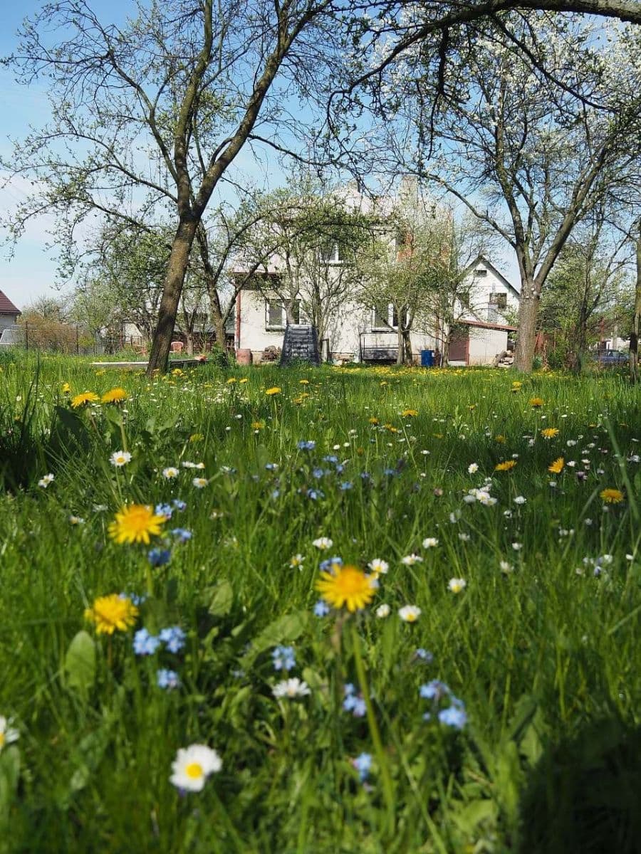Pronájem domu 232 m², pozemek 1.471 m², Veřovice, Moravskoslezský kraj Pronájem domu 232 m², pozemek 1.471 m², Veřovice, Moravskoslezský kraj