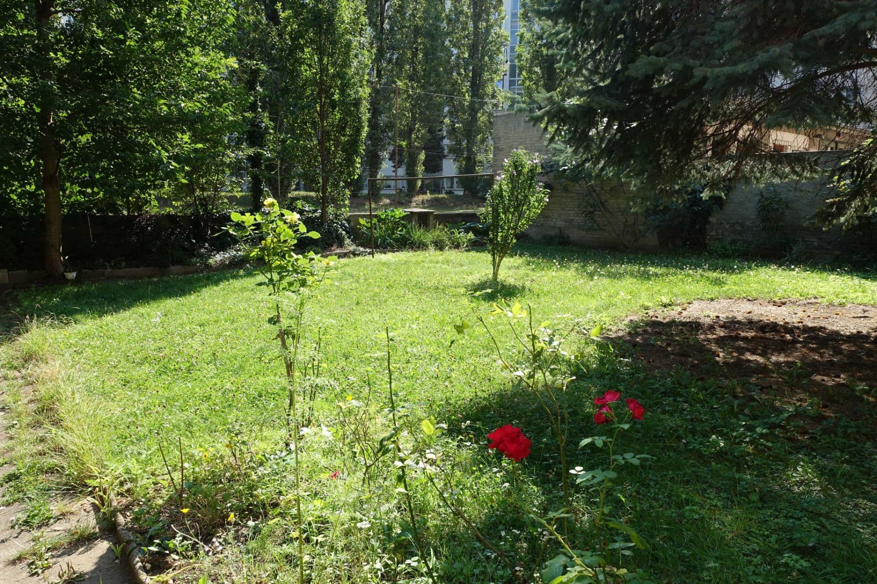 Pronájem bytu 3+kk 75 m², Národní obrany, Praha, Praha Pronájem bytu 3+kk 75 m², Národní obrany, Praha, Praha