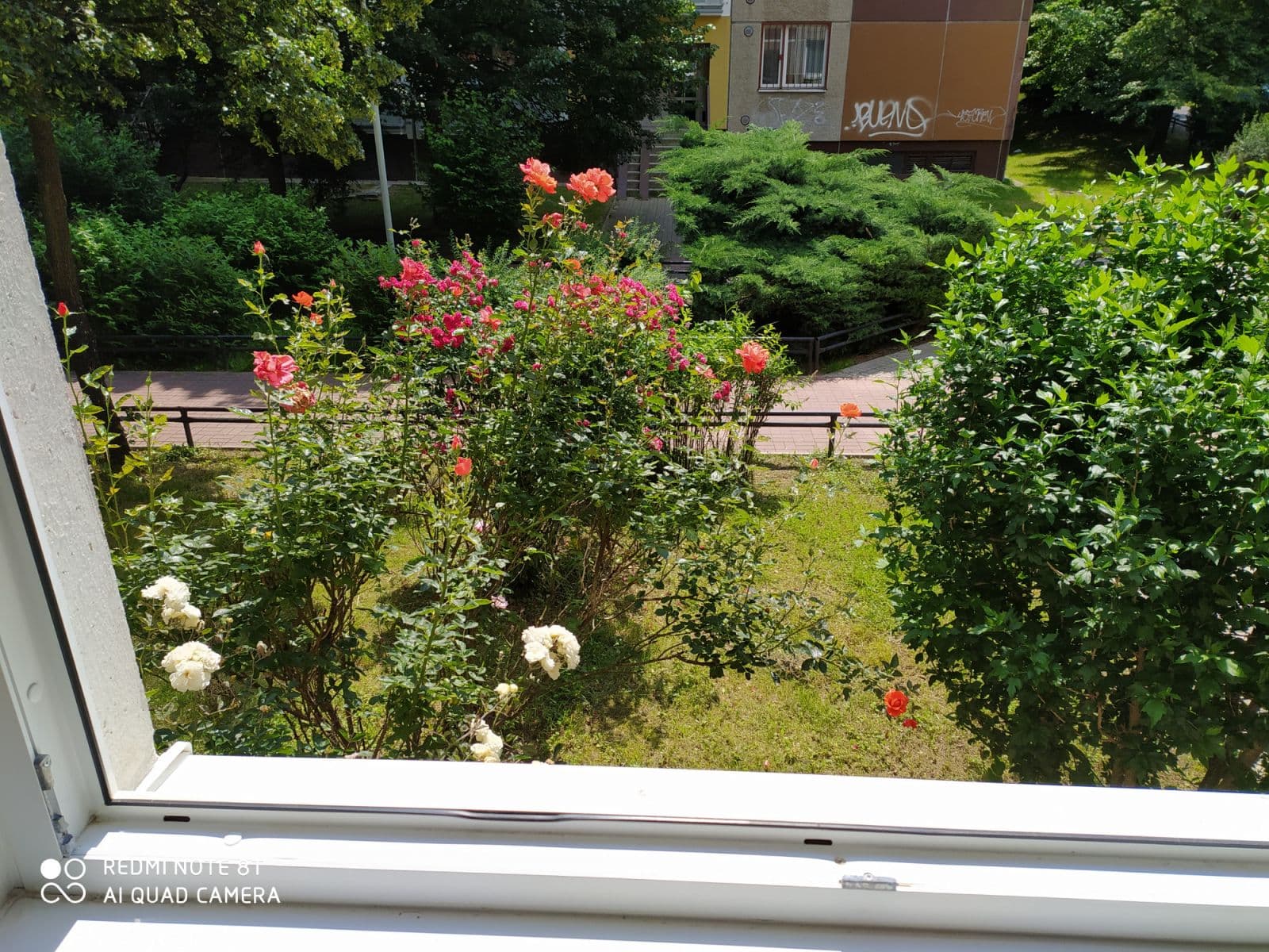 Pronájem bytu 19 m², Krškova, Praha, Praha Pronájem bytu 19 m², Krškova, Praha, Praha