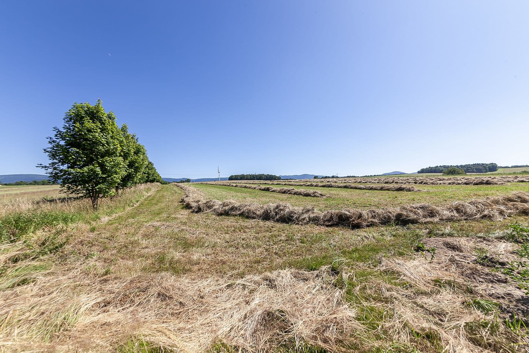 Prodej pozemku 54.591 m², Krásný Les, Liberecký kraj Prodej pozemku 54.591 m², Krásný Les, Liberecký kraj