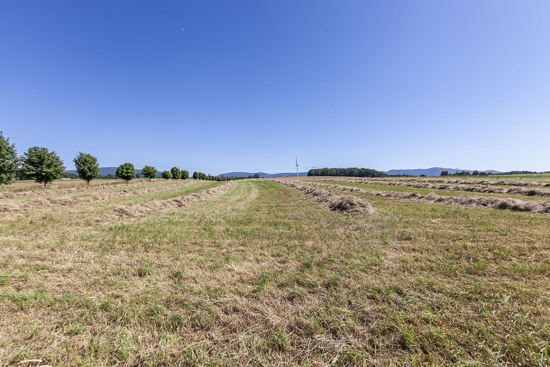 Prodej pozemku 54.591 m², Krásný Les, Liberecký kraj Prodej pozemku 54.591 m², Krásný Les, Liberecký kraj