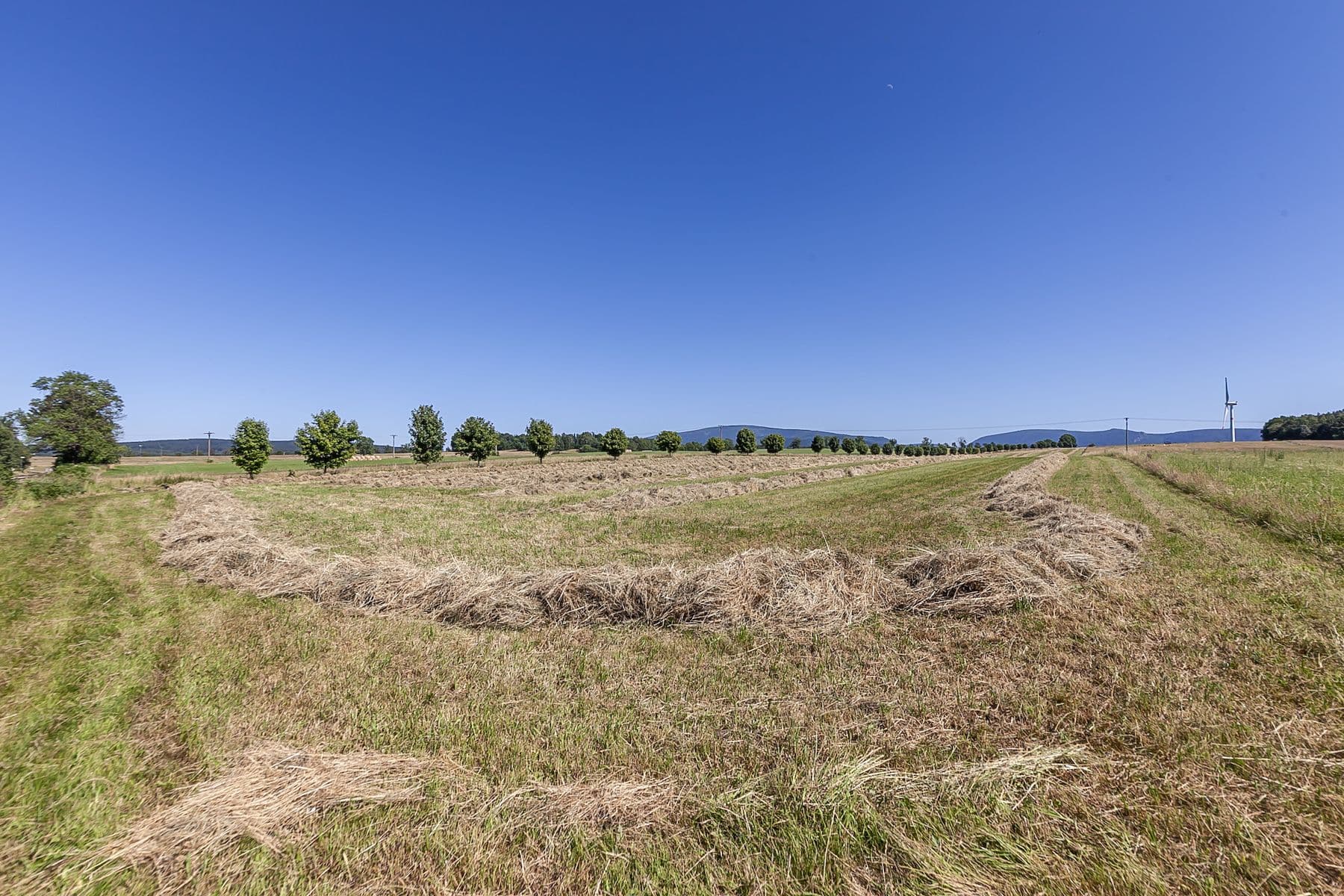 Prodej pozemku 54.591 m², Krásný Les, Liberecký kraj Prodej pozemku 54.591 m², Krásný Les, Liberecký kraj