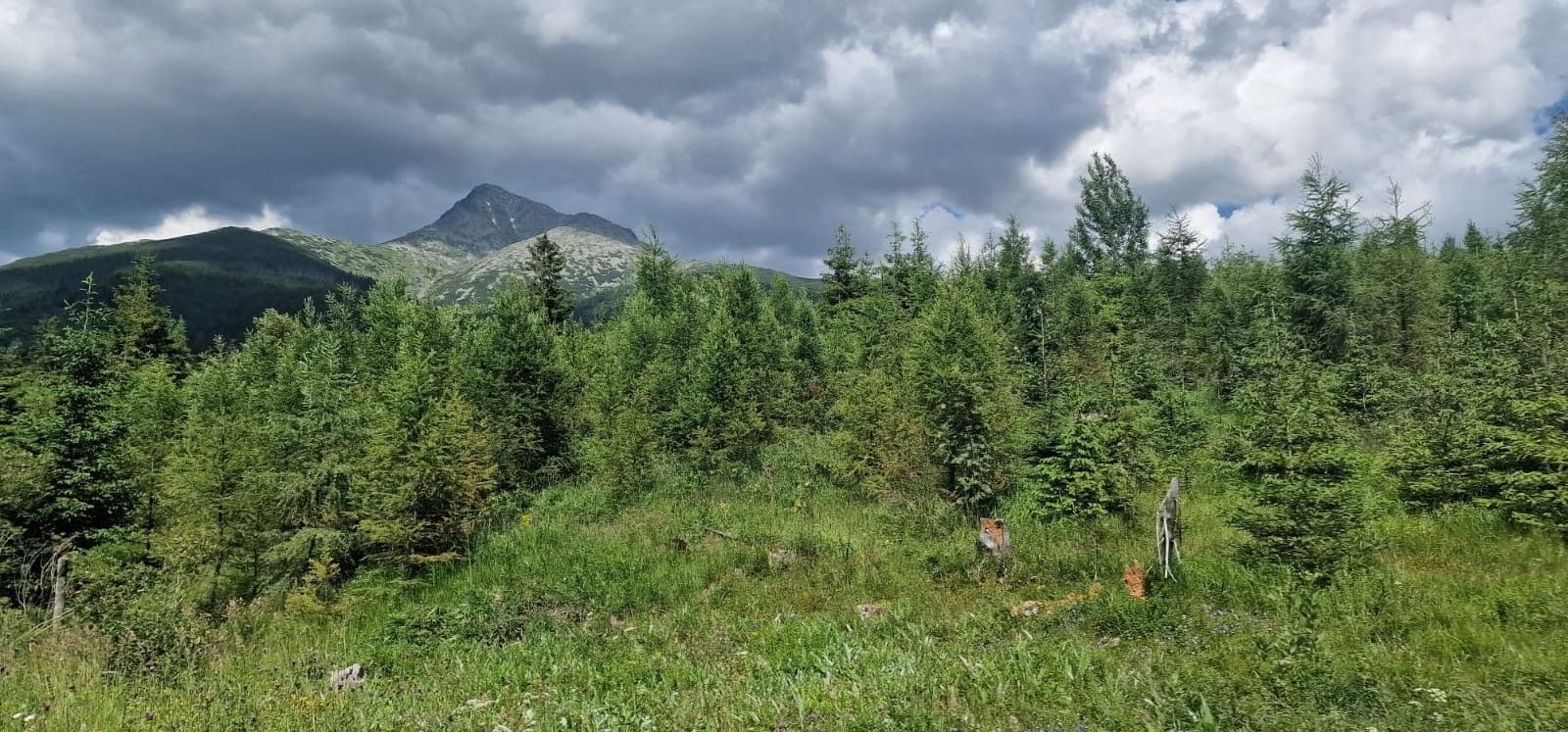 Prodej pozemku 700 m², Jamník, Žilinský kraj Prodej pozemku 700 m², Jamník, Žilinský kraj