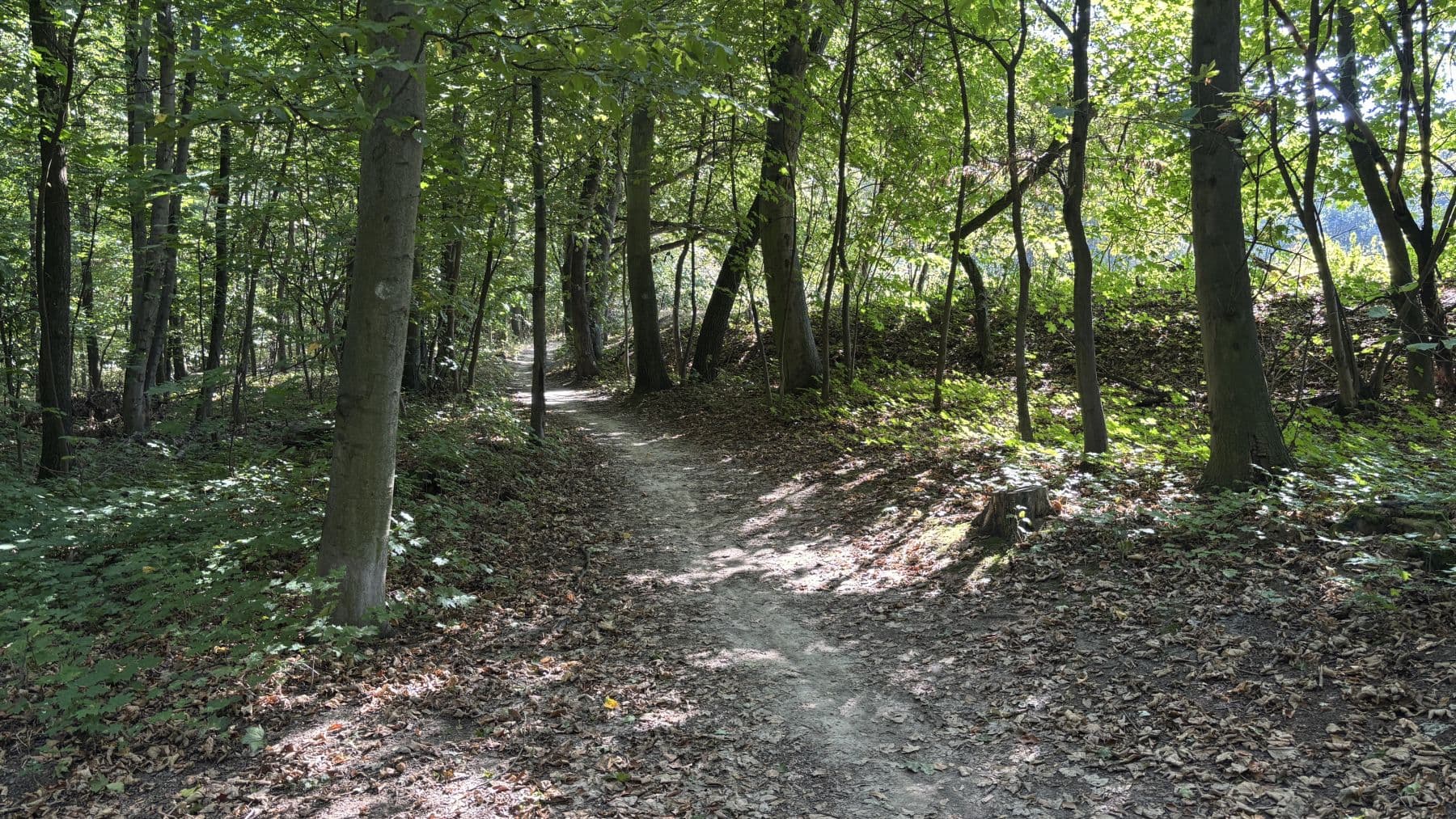 Pronájem bytu 22 m², Dědinská, Praha, Praha Pronájem bytu 22 m², Dědinská, Praha, Praha