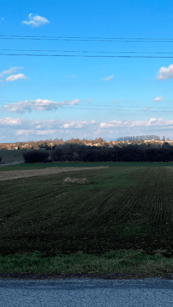 Prodej pozemku 4.618 m², Krtovce, Nitriansky kraj Prodej pozemku 4.618 m², Krtovce, Nitriansky kraj