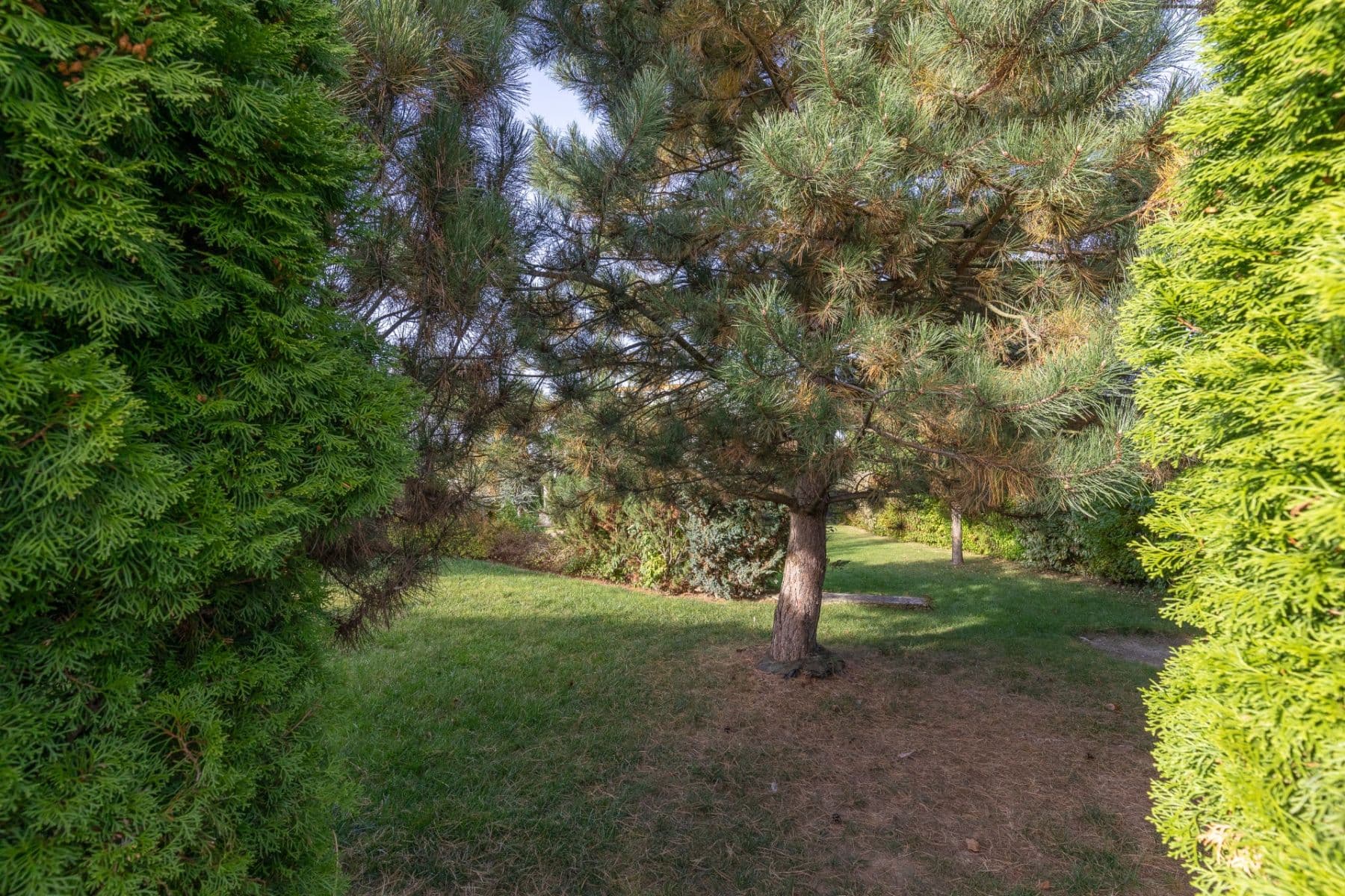 Prodej pozemku 802 m², Na Vrškách, Zlatníky-Hodkovice, Středočeský kraj Prodej pozemku 802 m², Na Vrškách, Zlatníky-Hodkovice, Středočeský kraj