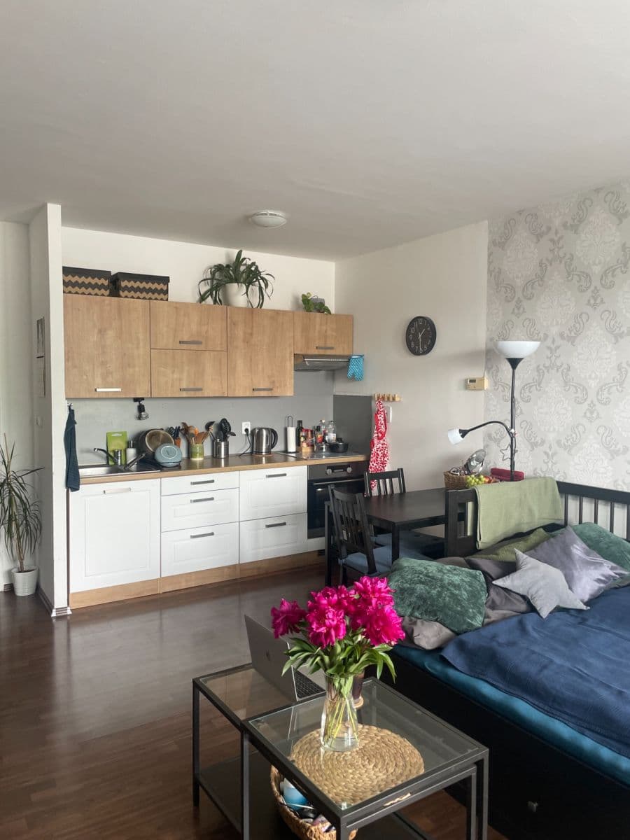 Pronájem bytu 1+kk 40 m², Podpěrova, Brno, Jihomoravský kraj Pronájem bytu 1+kk 40 m², Podpěrova, Brno, Jihomoravský kraj