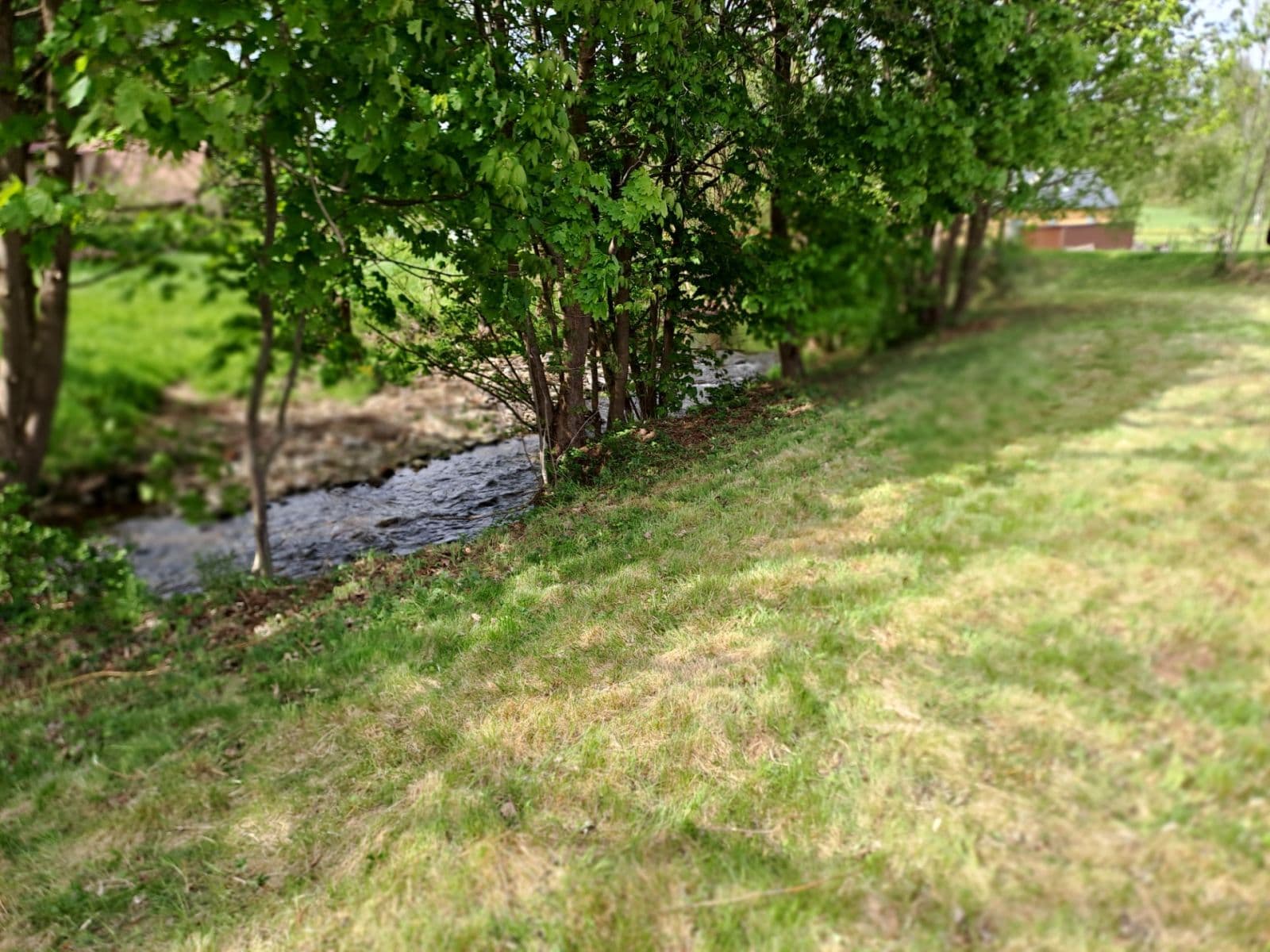Prodej pozemku 1.097 m², Prosečné, Královéhradecký kraj Prodej pozemku 1.097 m², Prosečné, Královéhradecký kraj