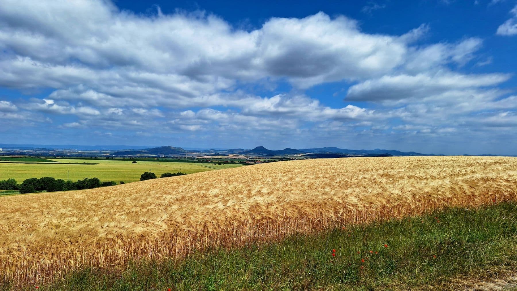 Pronájem pozemku 1.187 m², Líšťany, Ústecký kraj Pronájem pozemku 1.187 m², Líšťany, Ústecký kraj