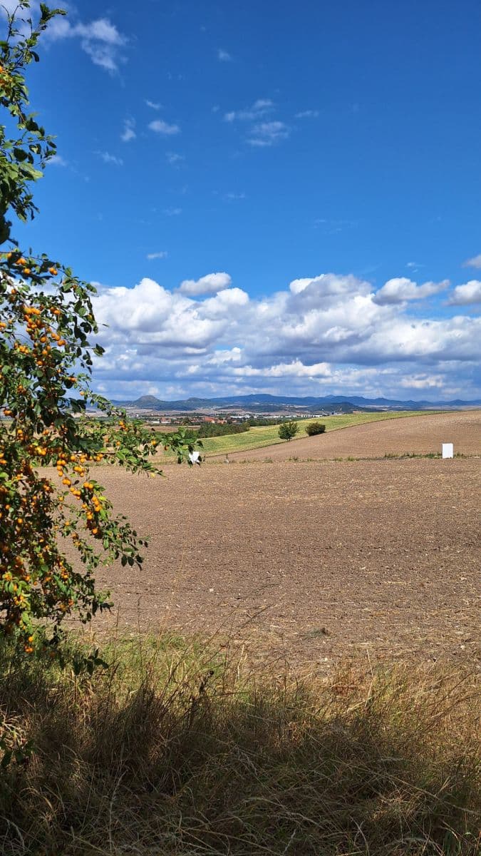 Pronájem pozemku 1.187 m², Líšťany, Ústecký kraj Pronájem pozemku 1.187 m², Líšťany, Ústecký kraj