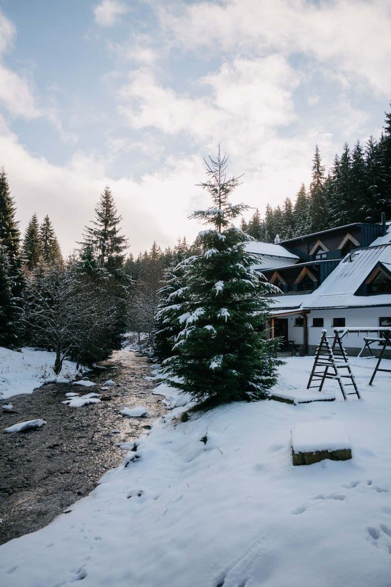 Pronájem chaty, chalupy, Kvilda, Jihočeský kraj Pronájem chaty, chalupy, Kvilda, Jihočeský kraj
