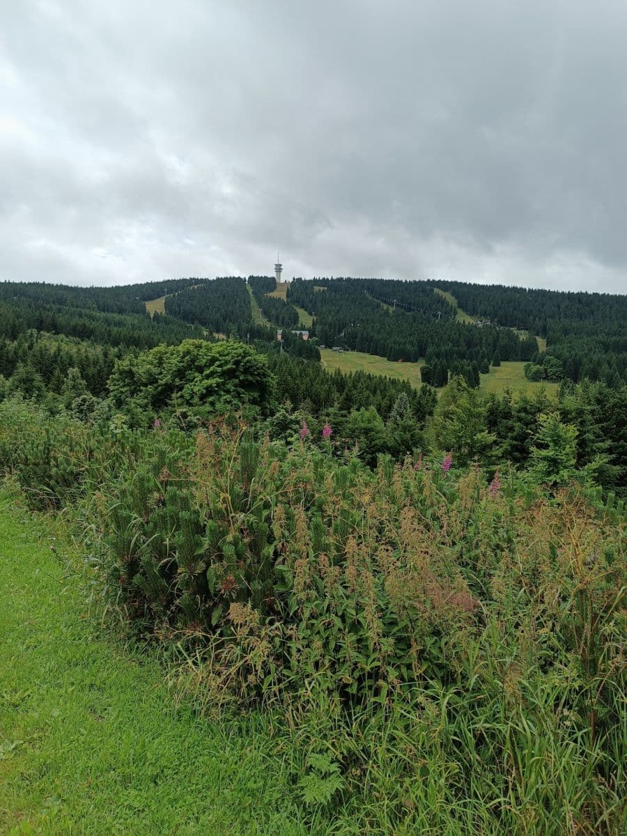 Pronájem bytu 2+kk 51 m², Loučná pod Klínovcem, Ústecký kraj Pronájem bytu 2+kk 51 m², Loučná pod Klínovcem, Ústecký kraj